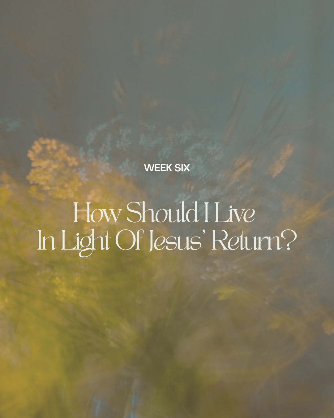 Week Six: How Should I Live in Light of Jesus' Return?