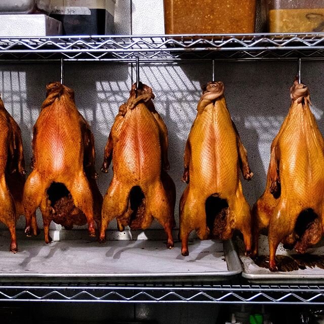 Another week of prepping for our weekend omakase menu. Have you tried our 3 daynair-dried Roasted Duck set yet? It comes with appetizers, 2 house-made steam buns per guest, deluxe bun spread quintet (Foie Gras parfait, pear umeboshi puree, leek, wate