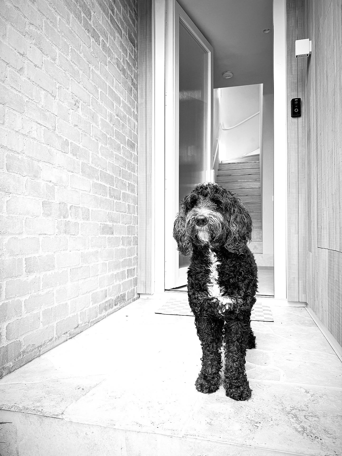 We can&rsquo;t wait for our first night in our new passive house!

Honestly we are so damn excited and absolutely in love with our forever home. We can&rsquo;t wait to share more, but for the minute we can&rsquo;t show you the final result as you wil