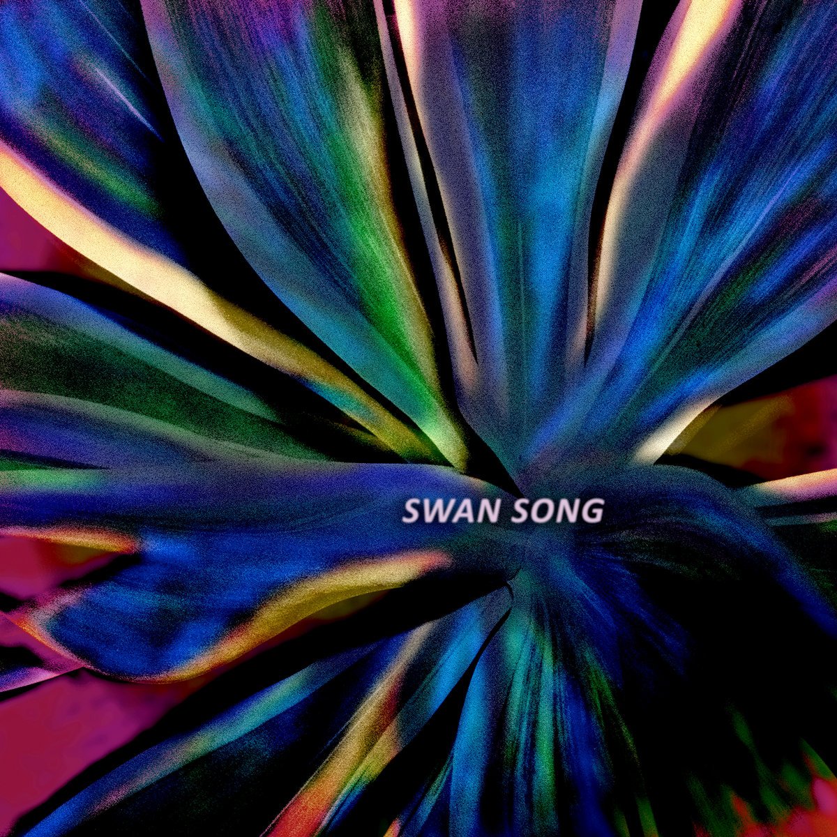 Groupie - Swan Song - Credits; Engineering/Mixing