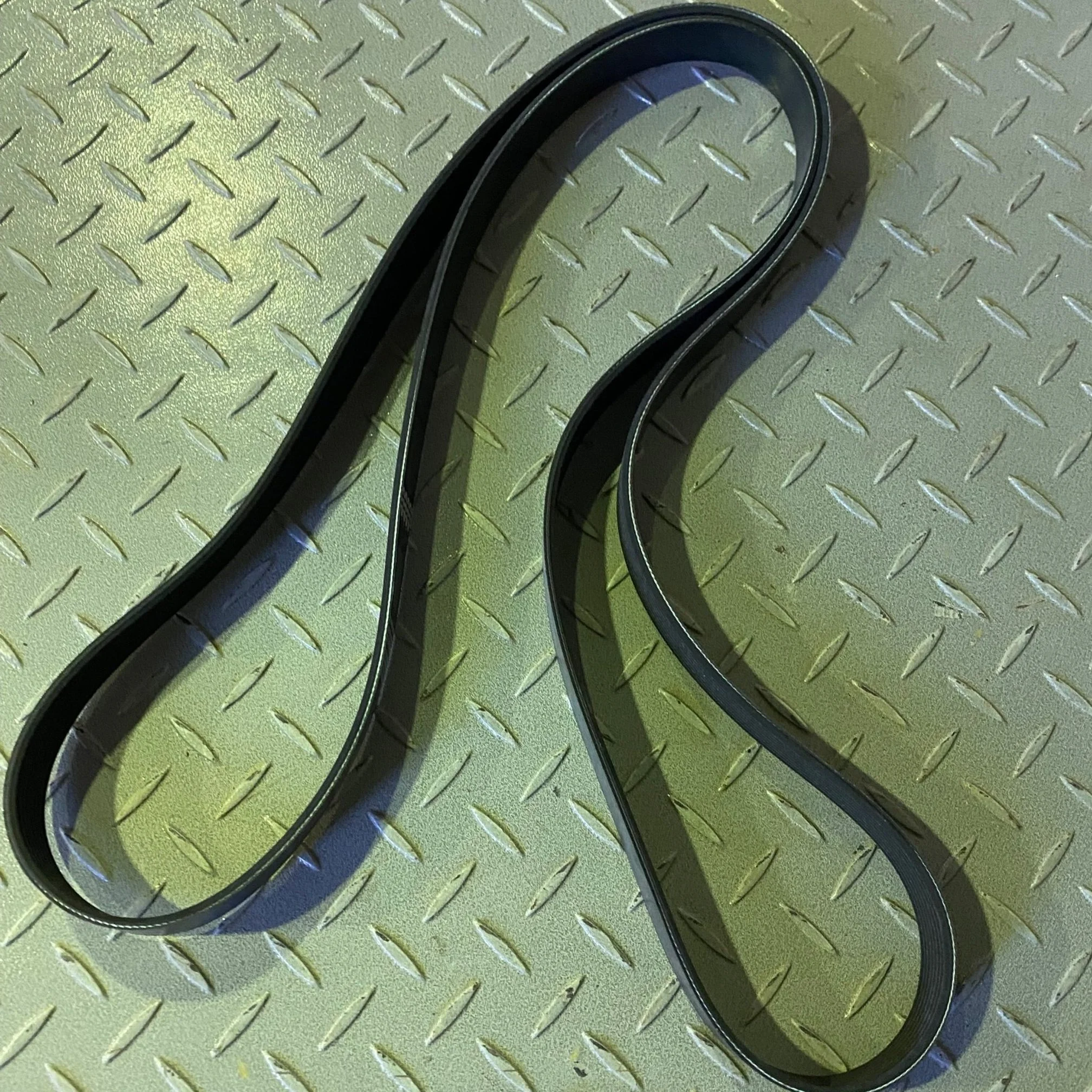 2269380 - BELT, SERPENTINE - $55.00+GST EA