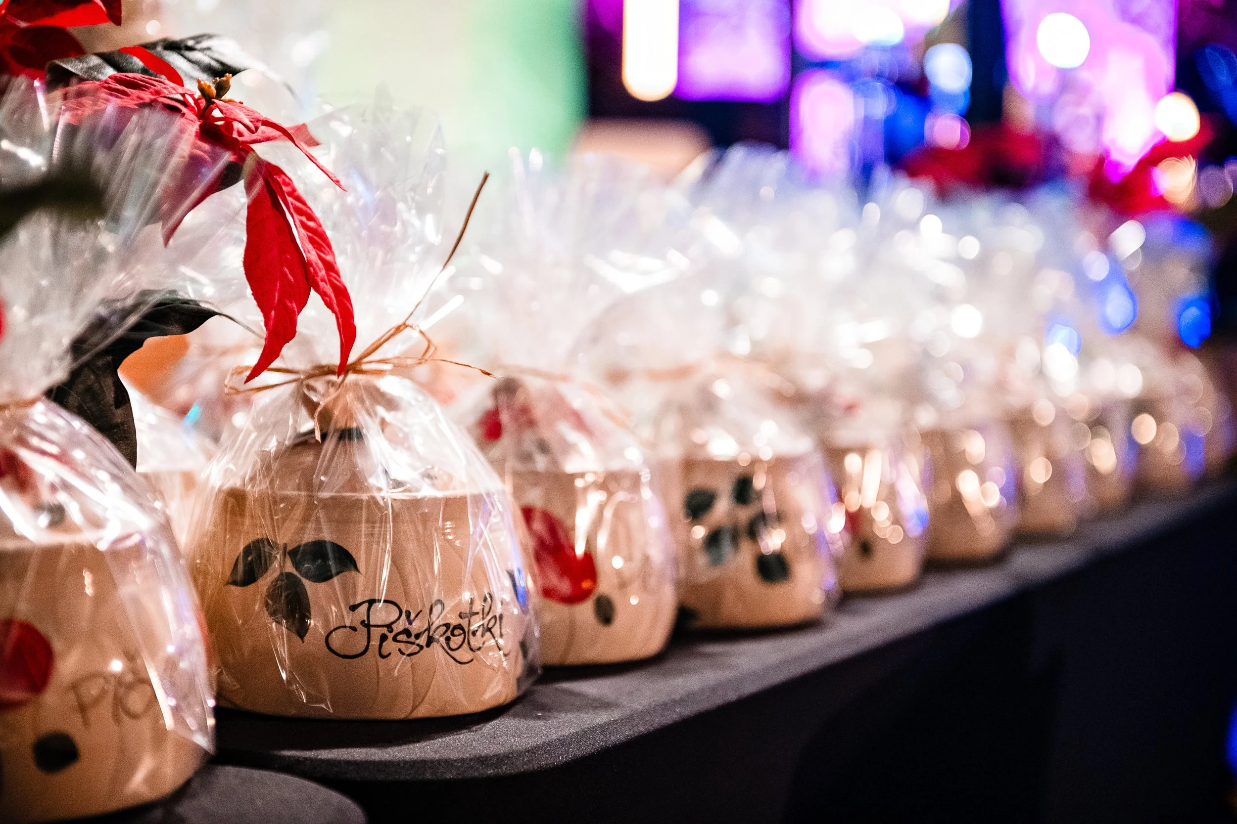 KLIMER_BOŽIČEK_2025 (8).jpg