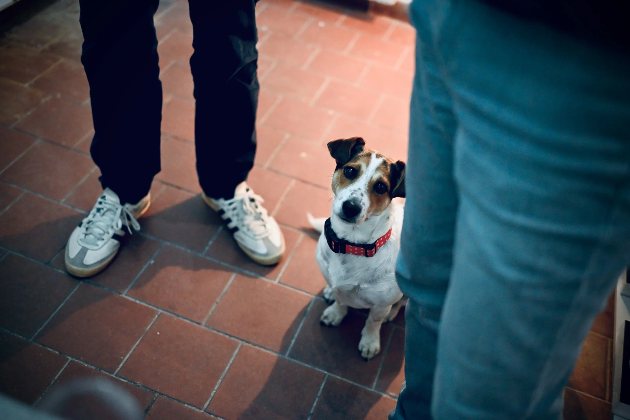 DSC_4611www.frantisekortmann.eu JPG.jpeg