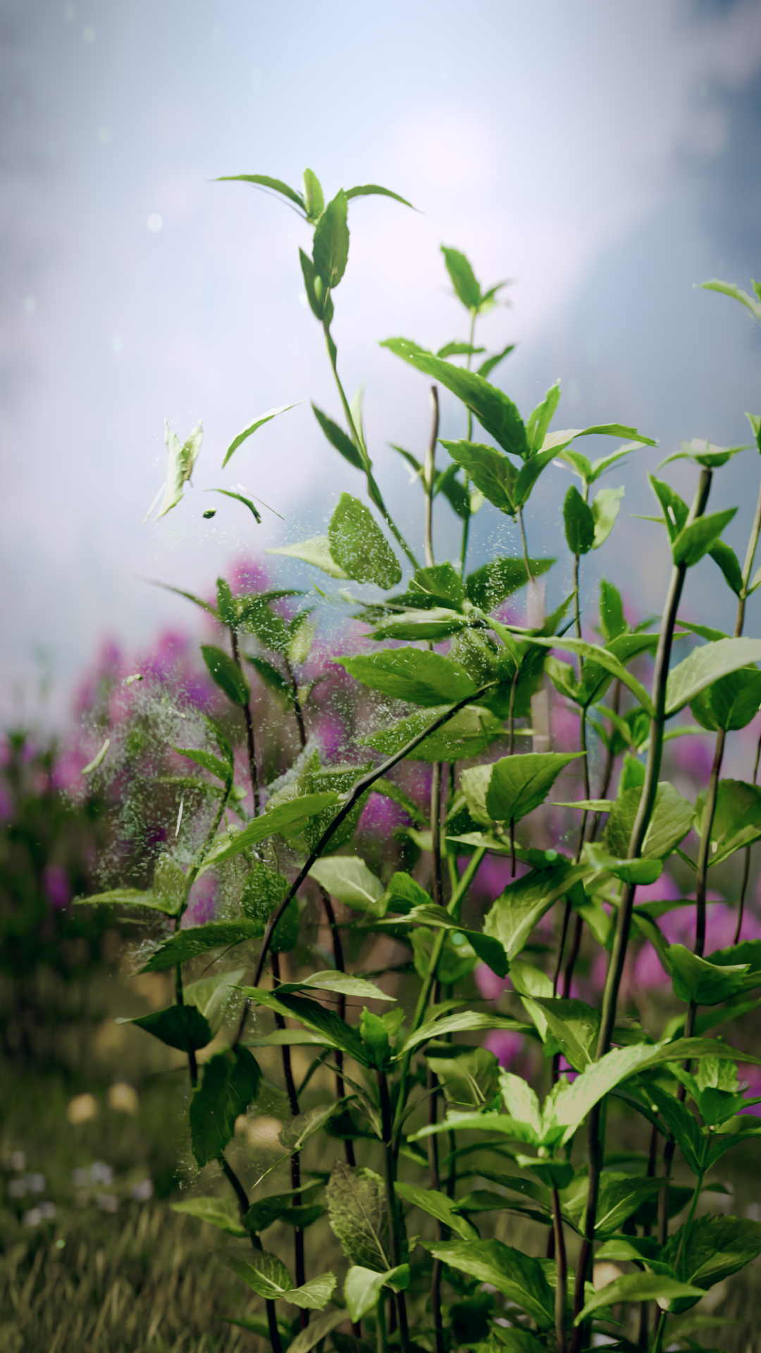 Pik-commercial-advertising-product-visualization-CGI-blender-houdini-19.png
