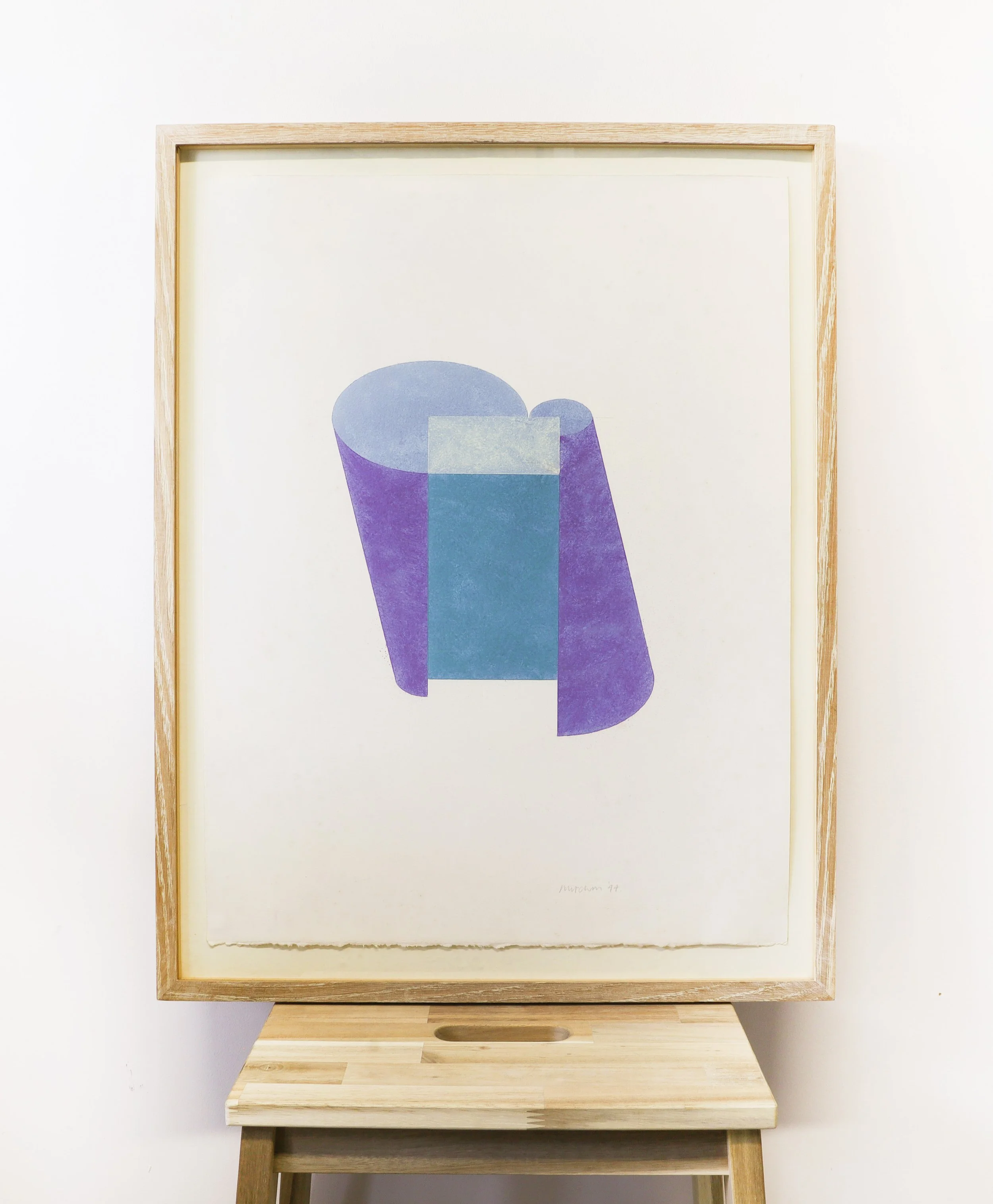 Mitchell_Frustums_1994_framed.jpg