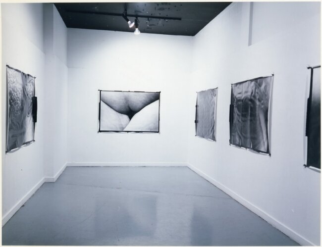  Installation view:   Skinned 2000   
