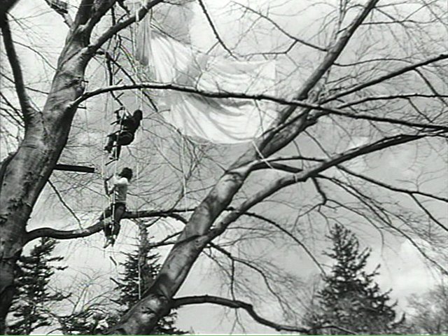 Tree Dance (1971)