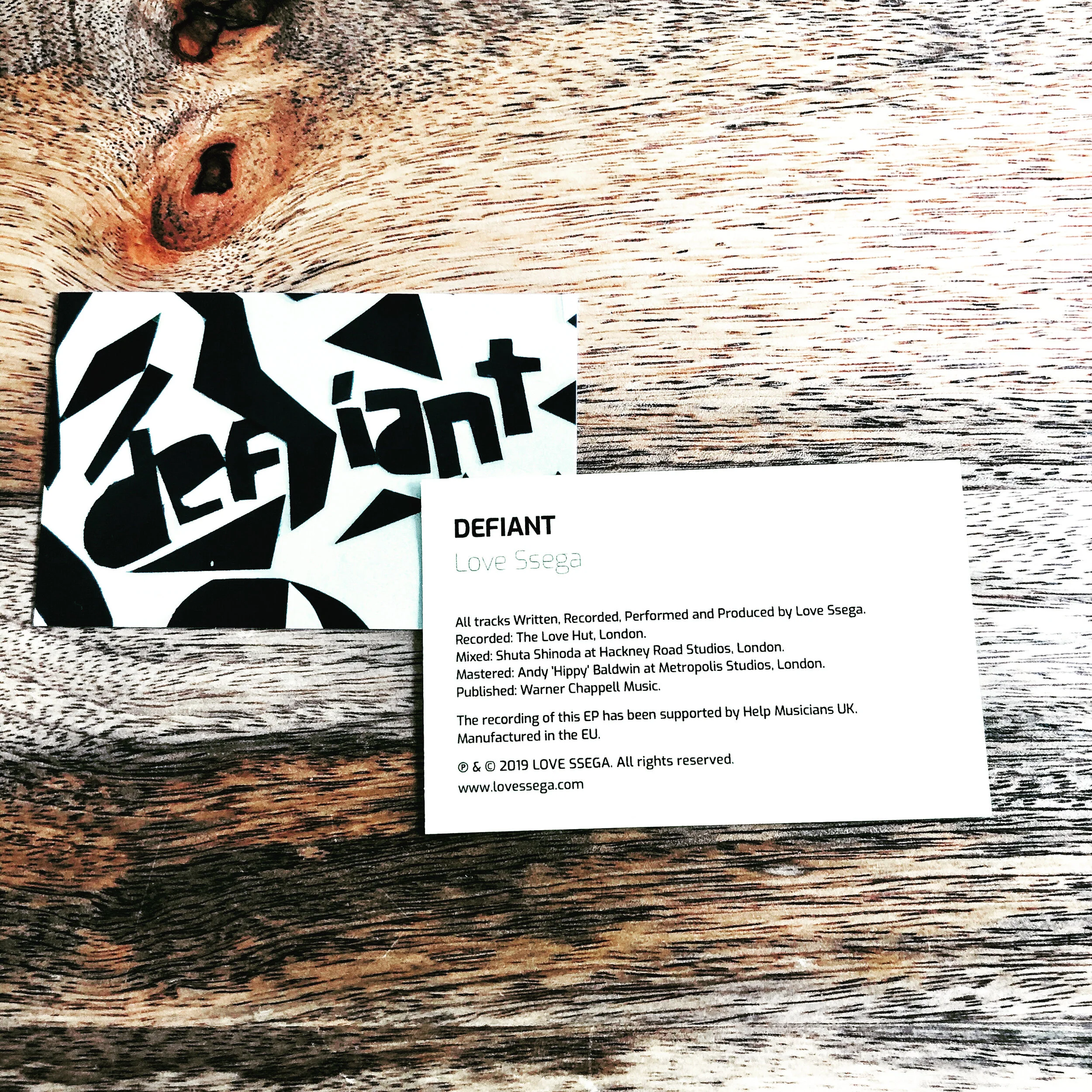 Defiant Business Card.jpeg