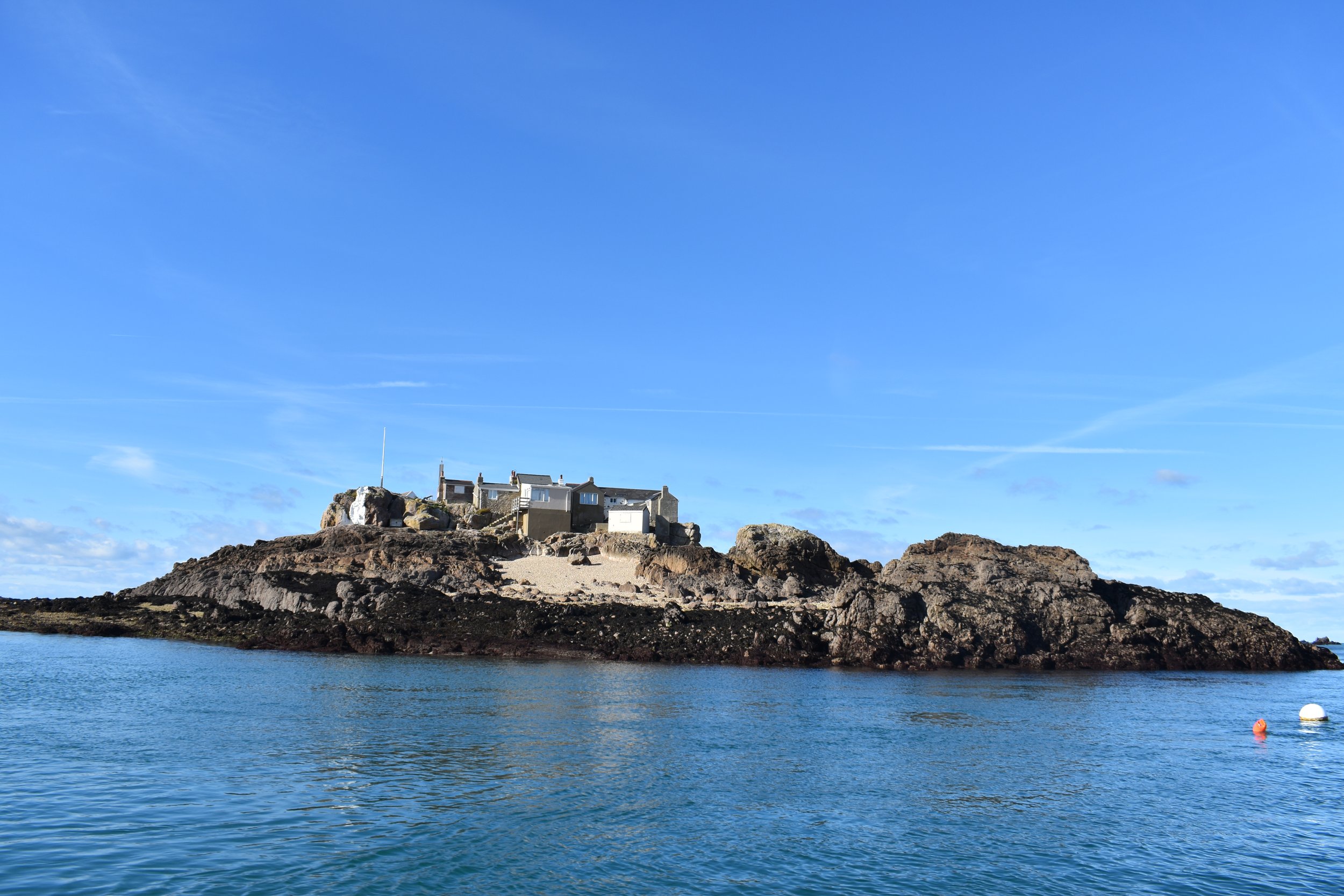 DSC_0098.JPG