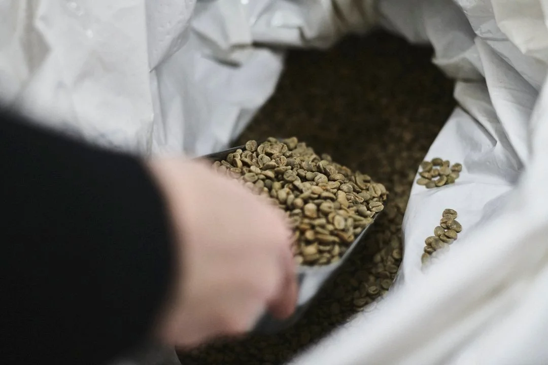 Grüne Kaffeebohnen werden mit einer Schaufel aus einem großen weißen Beutel geschöpft.