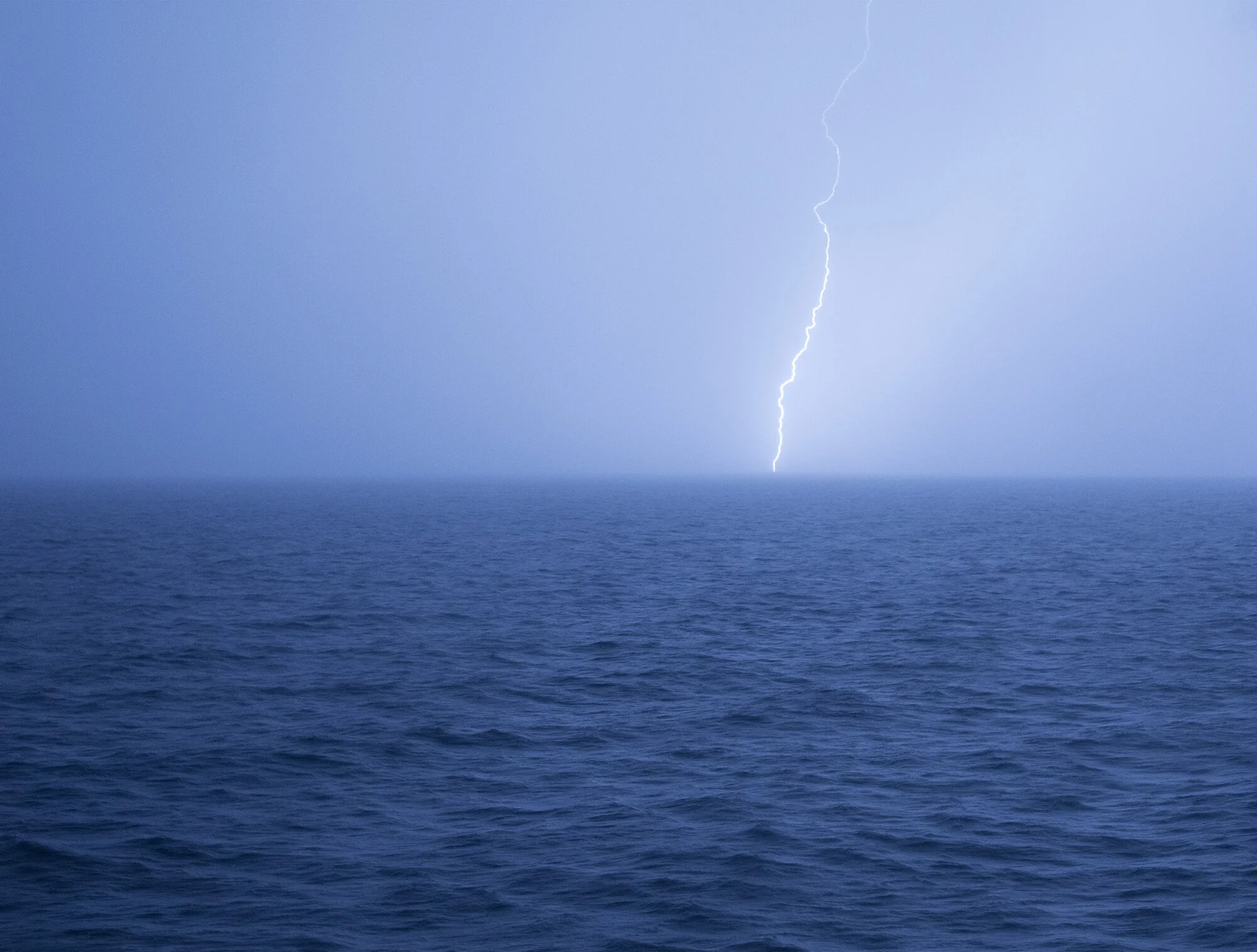 Which way the wind blows, 2019