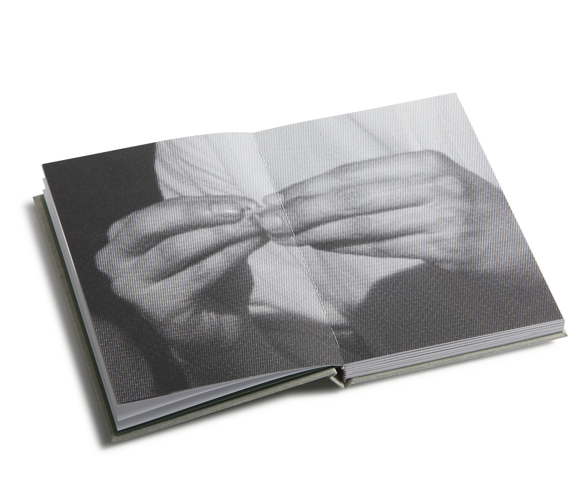 I Piccoli Gesti, 2020