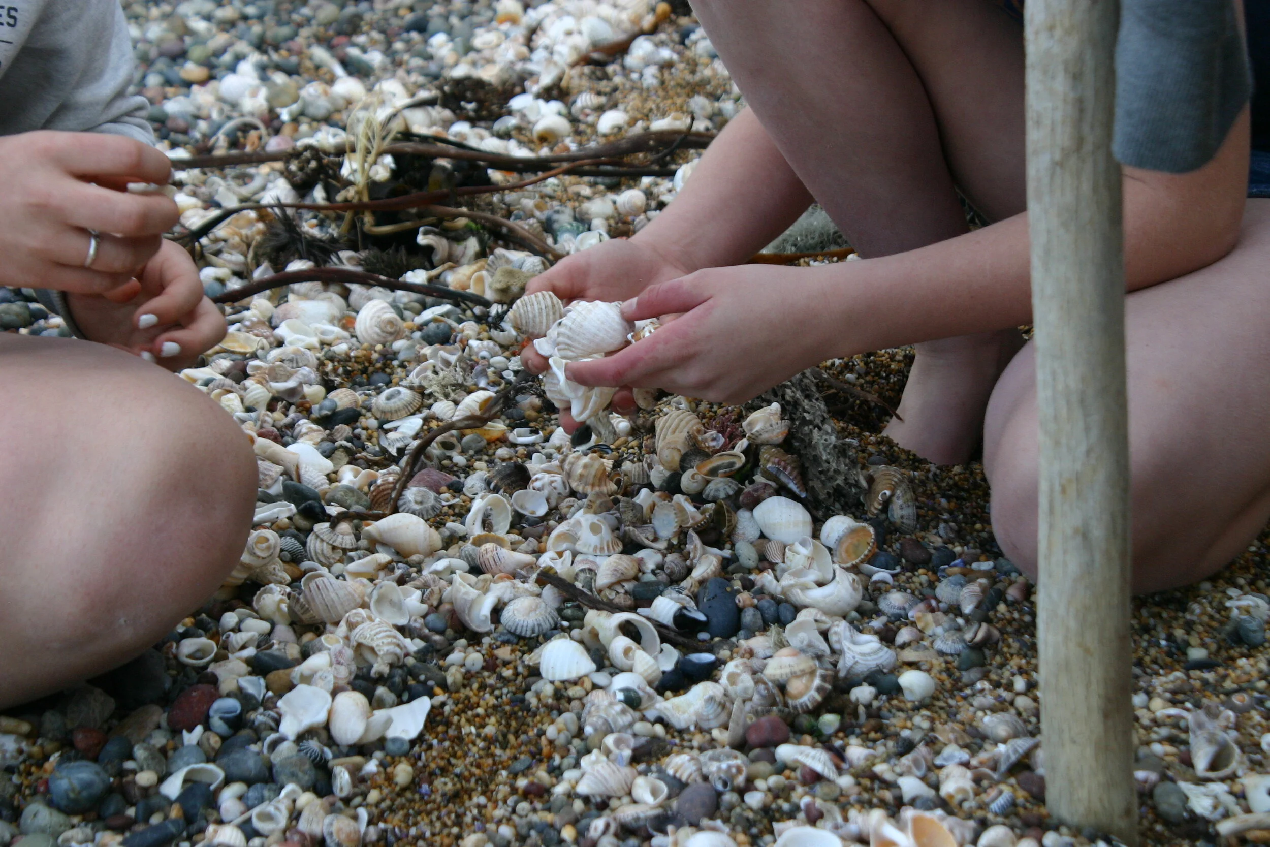 resources banner.JPG