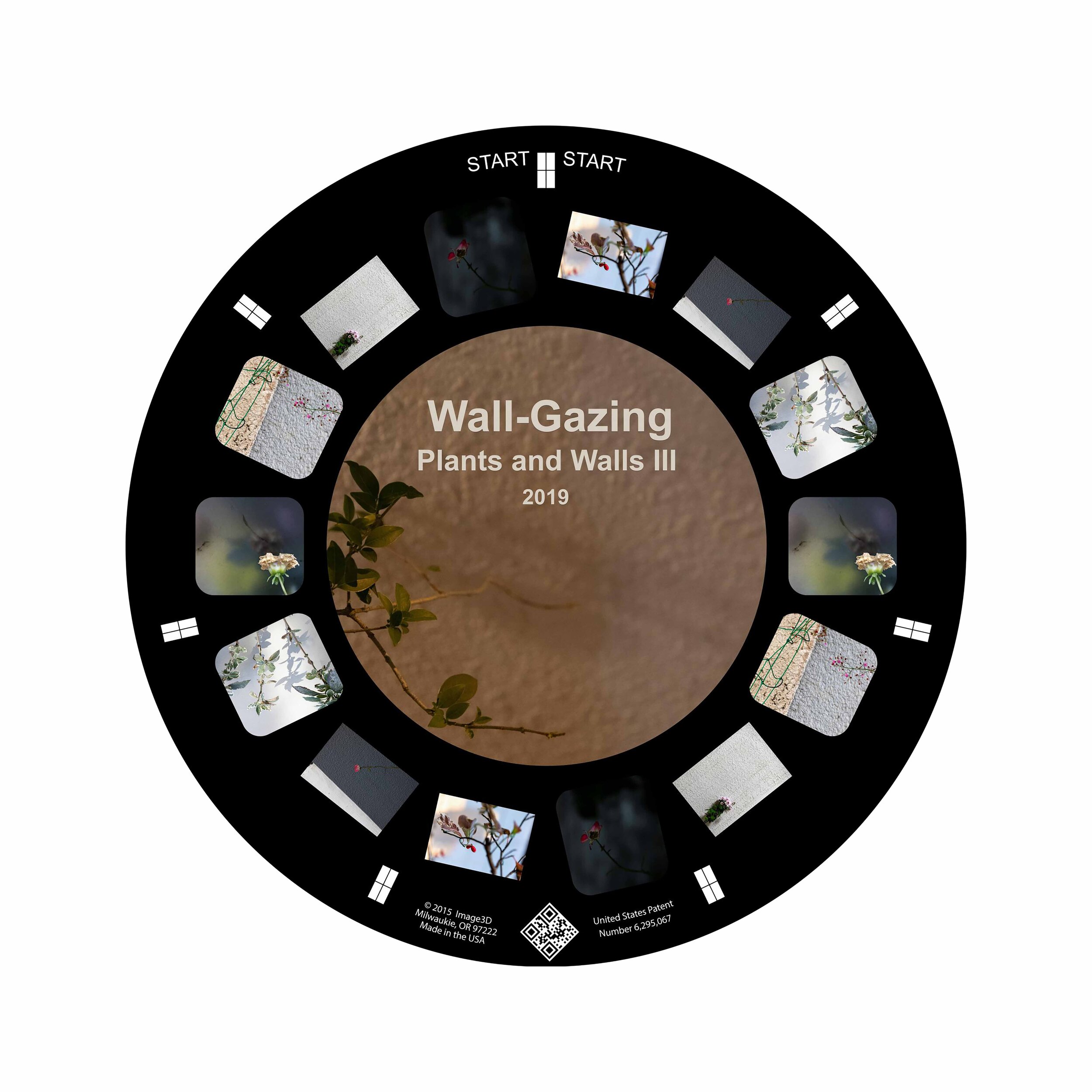 Wall-Gazing – Plants and Walls III, 2019