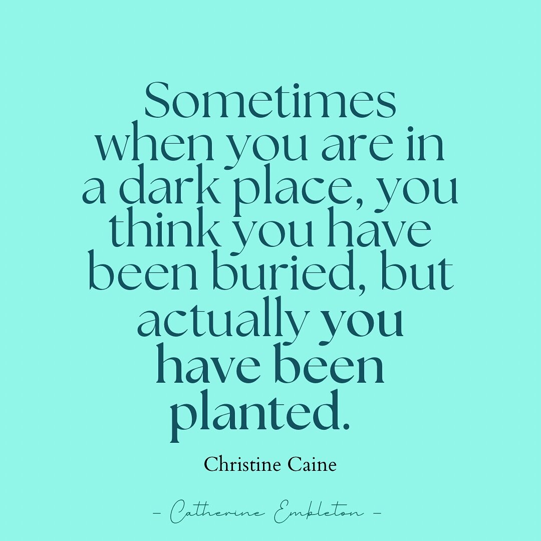 ✨ Sometimes when you are in a dark place, you think you have been buried but actually, you have been planted. ✨

I love this quote by Christine Caine and it has rung true for me personally, and for my clients too. 

I hope that anyone who is currentl
