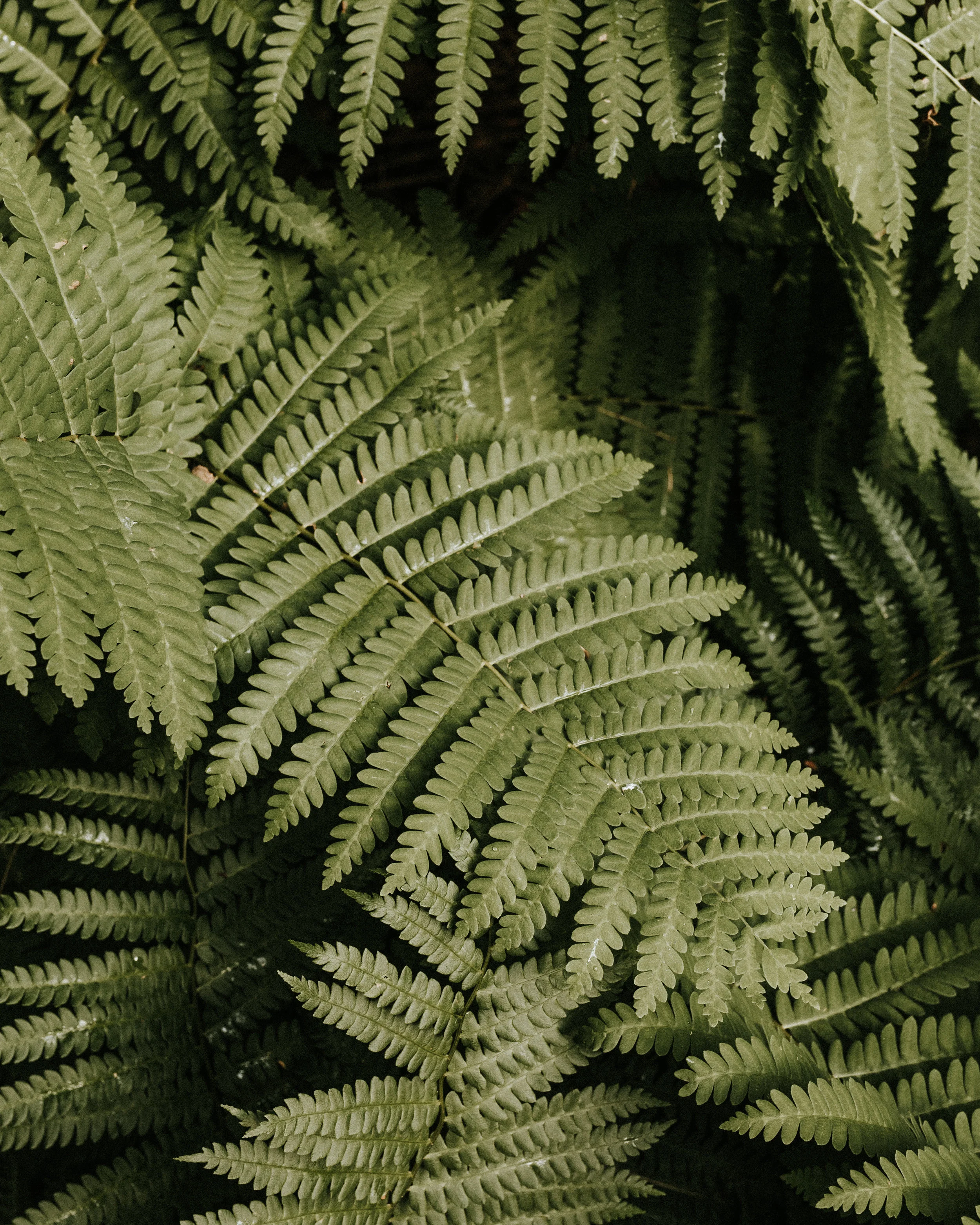 Les 15 petites choses à savoir sur moi