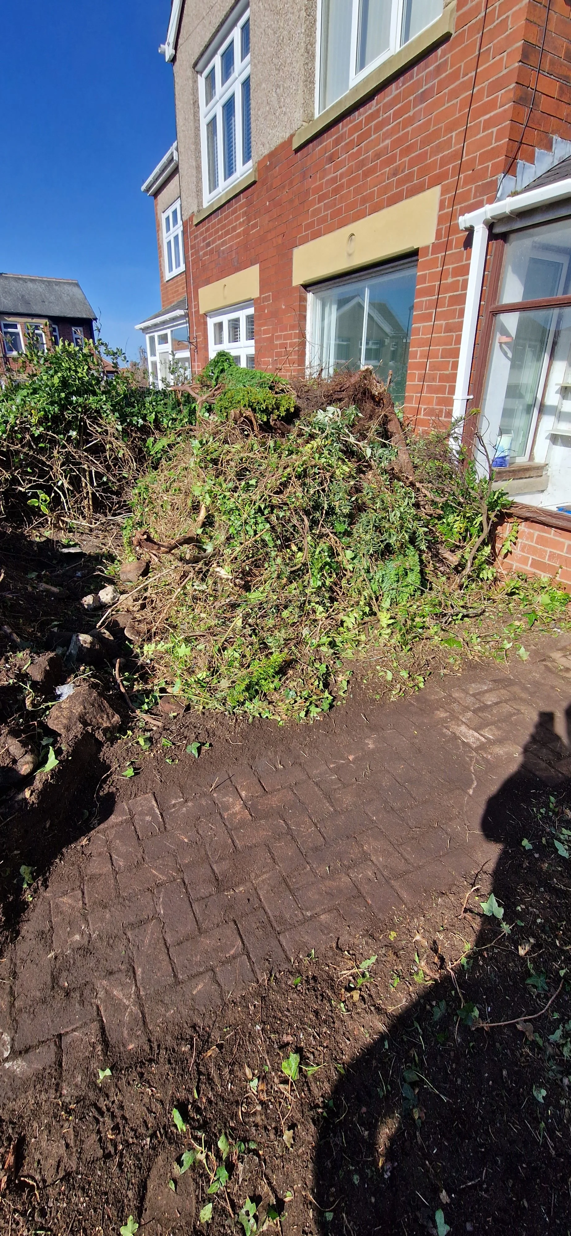 A pile of uprooted bushes and soil in front of a brick residential building with white-framed windows and a glass door, under a clear blue sky.