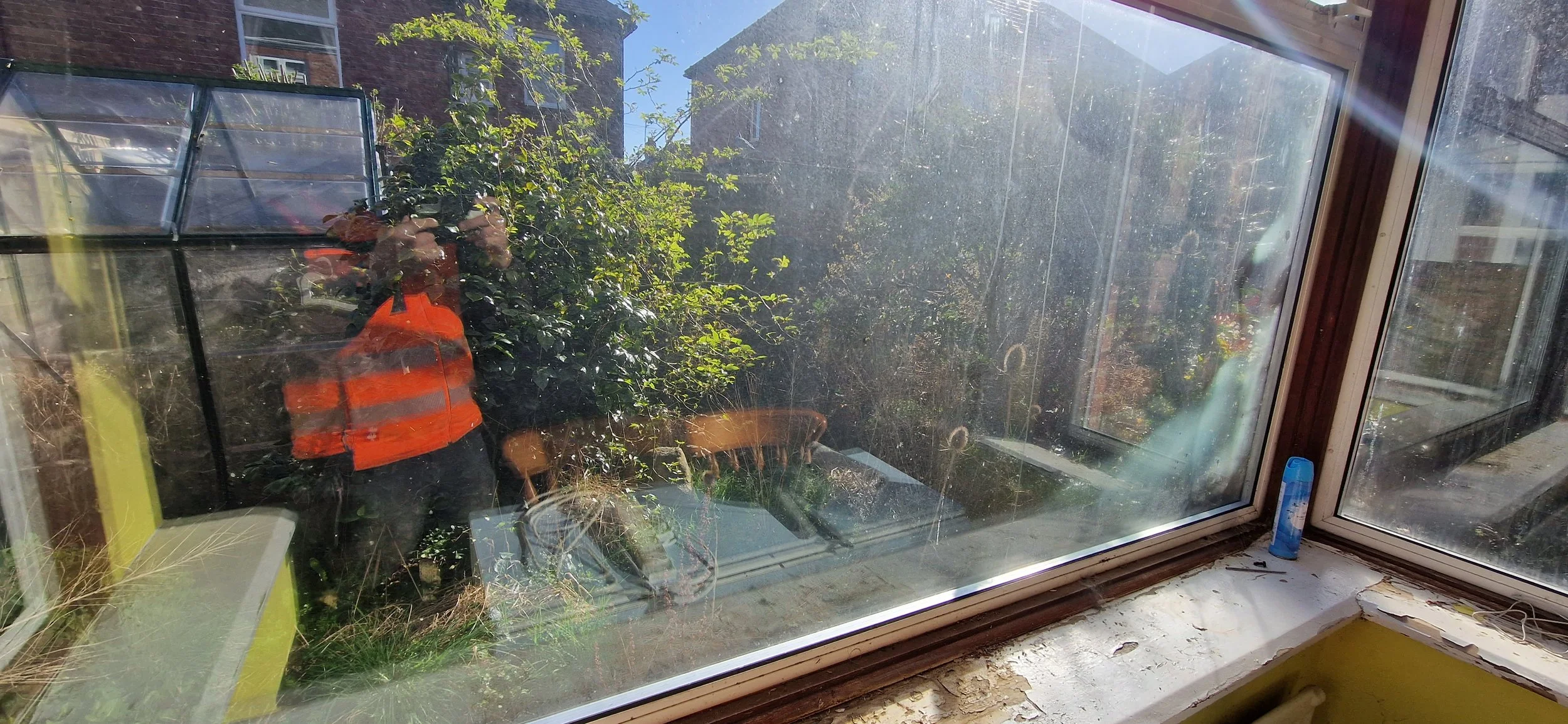A person wearing an orange safety vest taking a photo of a garden scene outside a window, which has streaks and dirt on the glass.