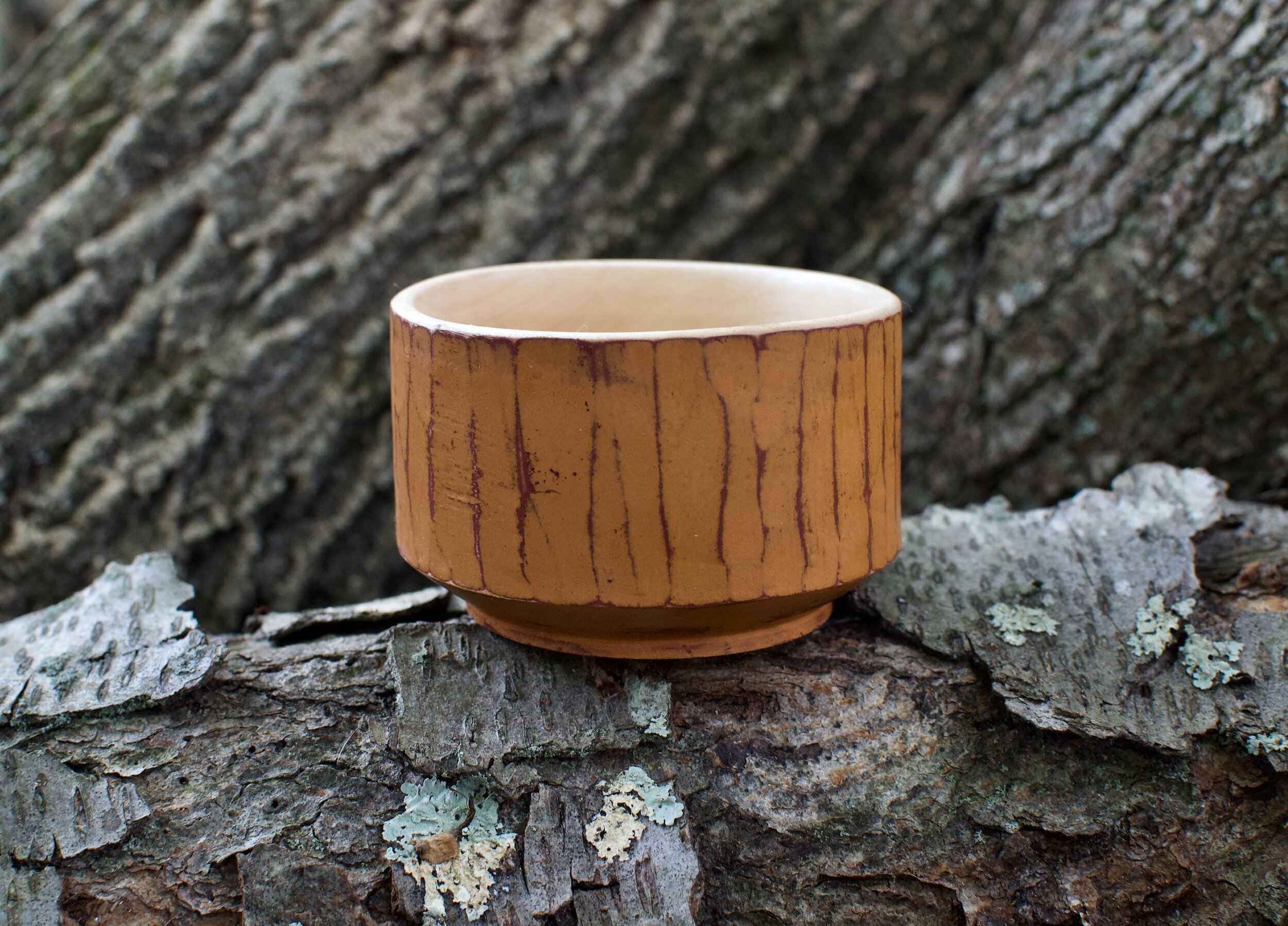 Birch Bark Cup with Facets