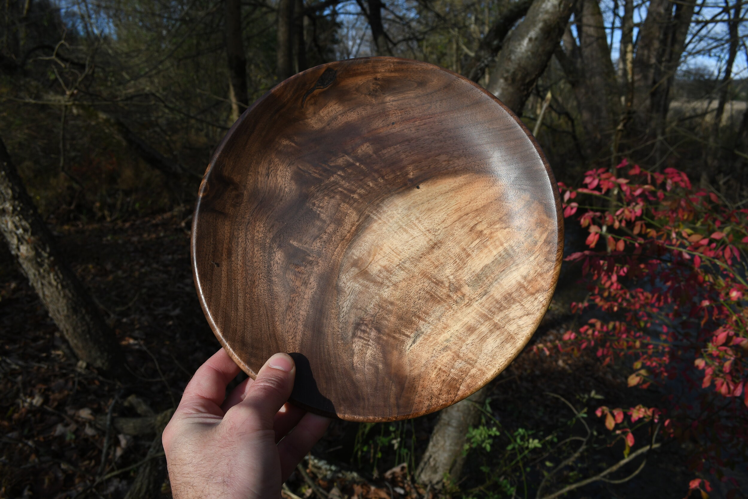 Curly Walnut Plate