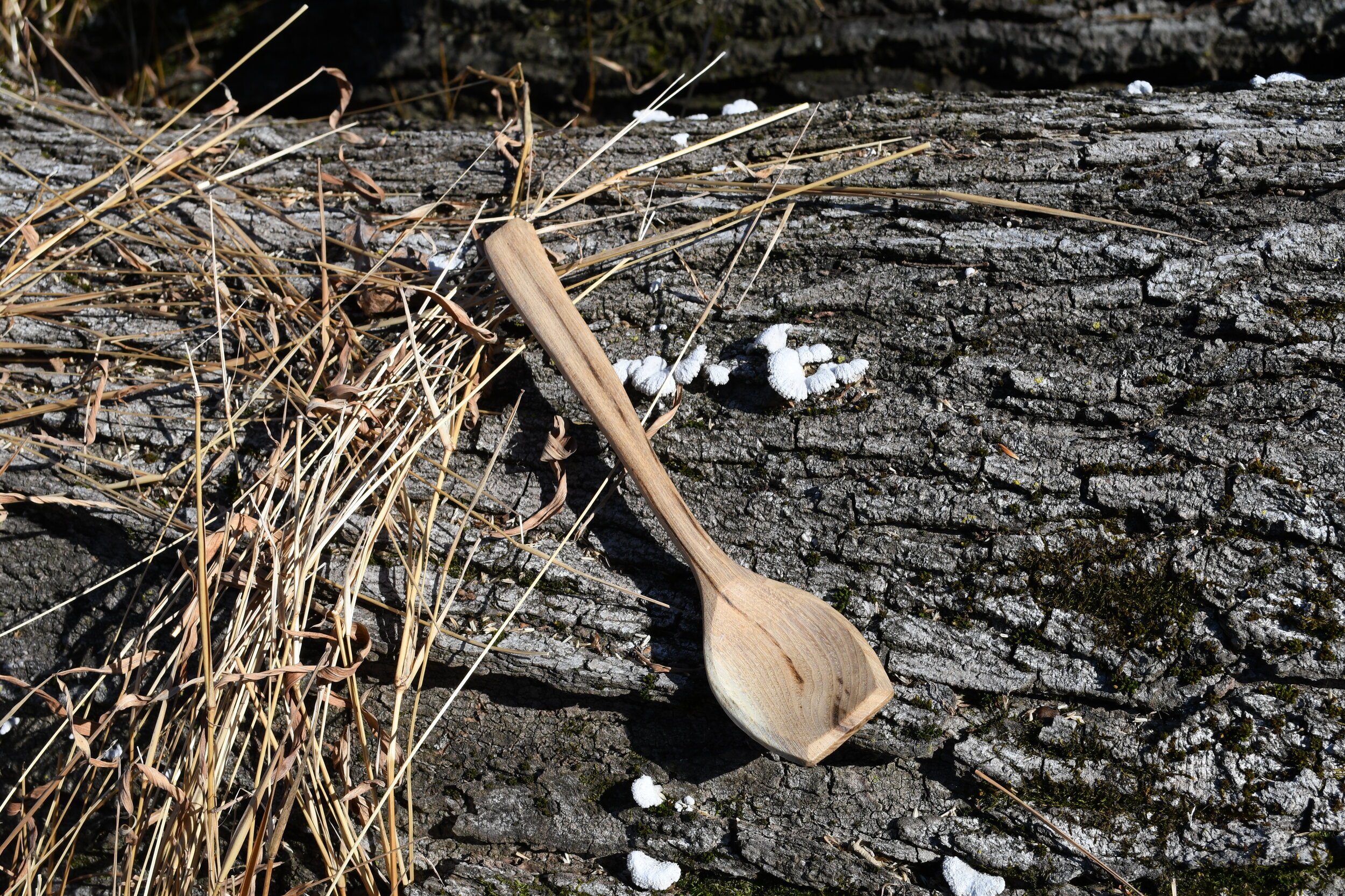 Sassafras Cooking Spoon