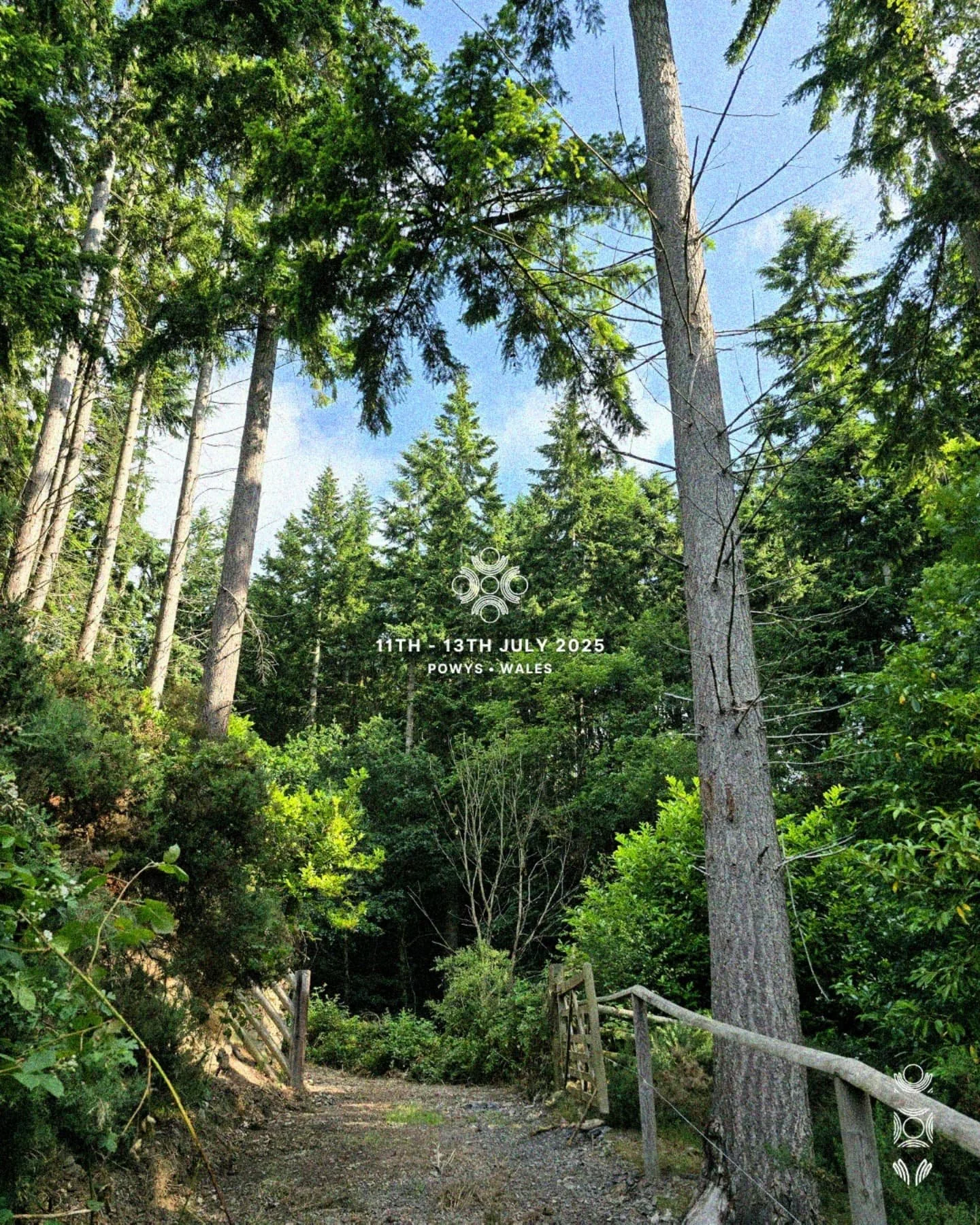 We&rsquo;ve just wrapped up our final site visit before the build begins, and we couldn&rsquo;t be more excited.

The groundwork is complete, and the site is looking absolutely unreal. We can&rsquo;t wait to welcome you to the forest in just over thr