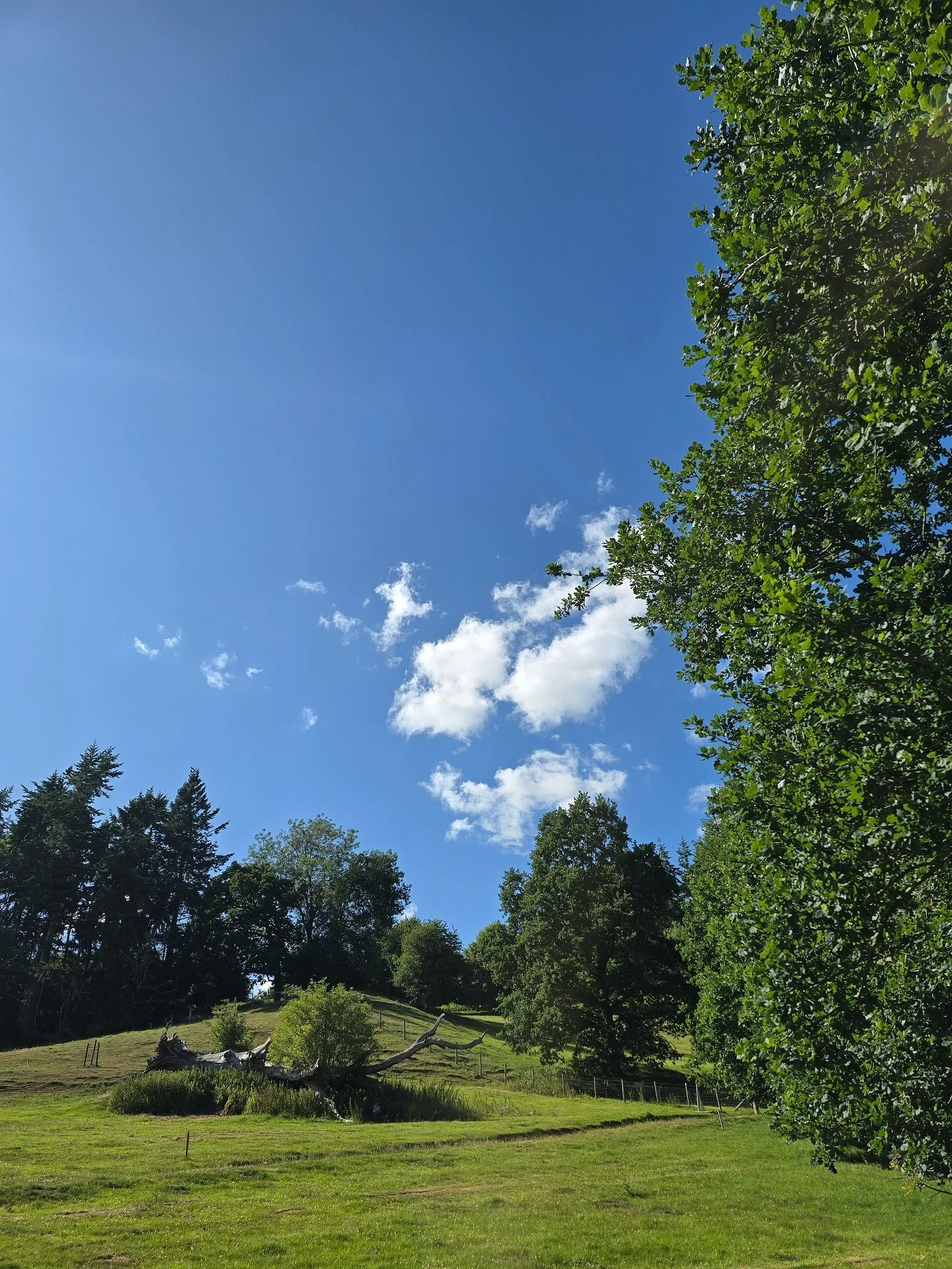 We can&rsquo;t wait to welcome you to our site tomorrow.

The location of the festival is Brithdir Hall, Berriew, Welshpool SY21 8AW

What3words: ///investors.noise.bunny

It&rsquo;s set to be warm all weekend so please keep hydrated and bring suncre