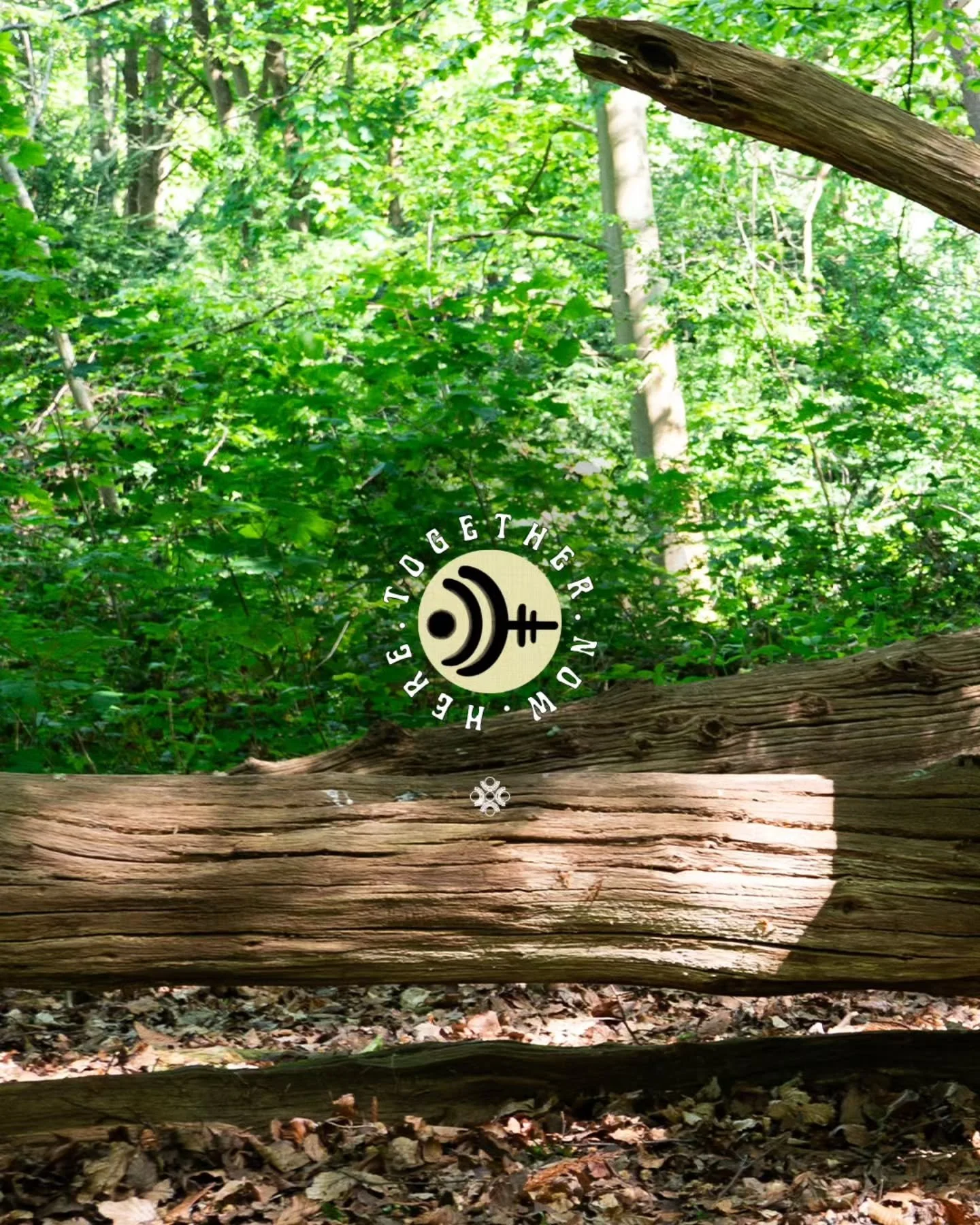 We are extremely excited to announce that &lsquo;Here  Together, Now&rsquo; will be hosting a sound bath on Sunday morning at this year's festival.

"We learn to listen with the whole body as we dive into a deep listening session, combining trad