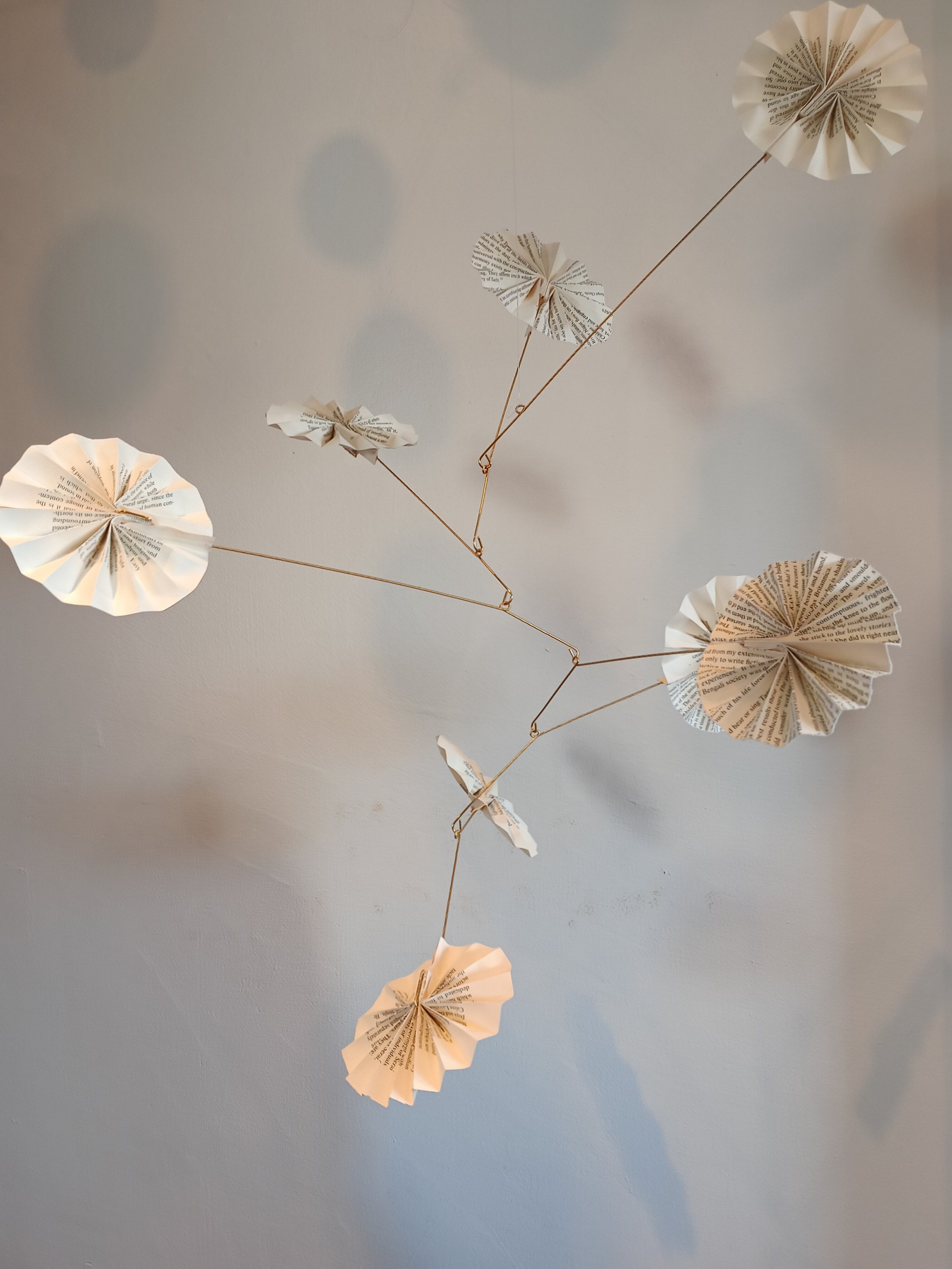 IMG_20260403_142653955 (1).jpg