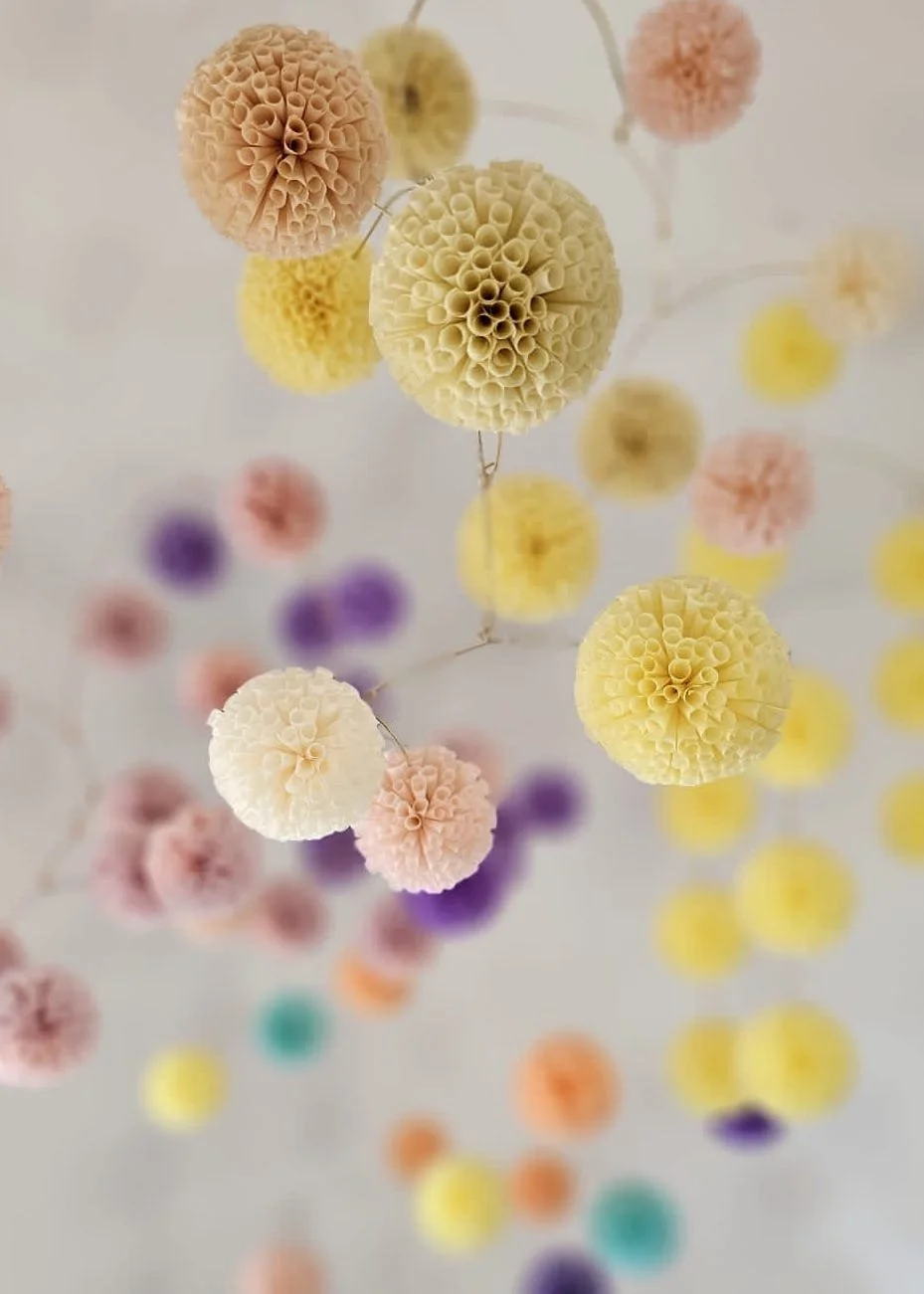 Exhibition: Many Colours, One Sky JAN 23 - FEB 1, 2026