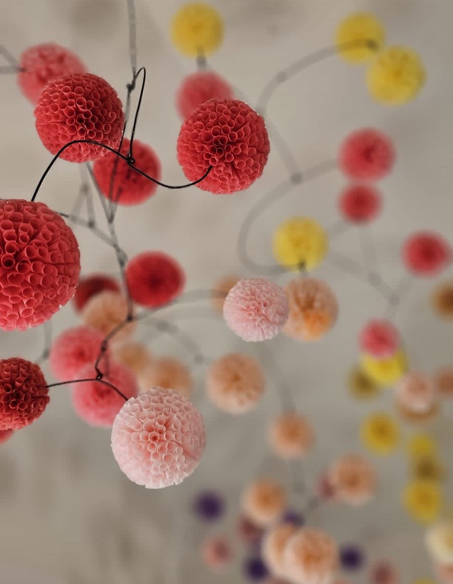 Exhibition: DANCING BLOSSOMS at the Clark Centre for the Arts