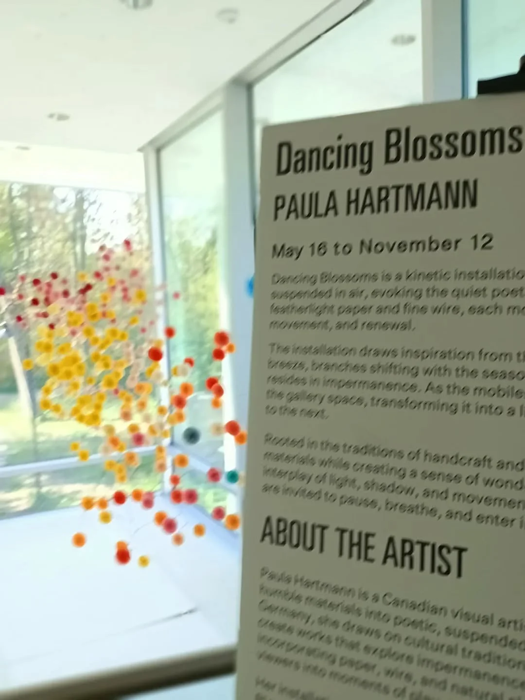 This week is the Doors Open event in Toronto. Discover a new architectural gem in the city - the Clark Centre for the Arts. It is surrounded by a beautiful sculpture garden and you can see my installation DANCING BLOSSOMS while you're there. 

Enjoy!