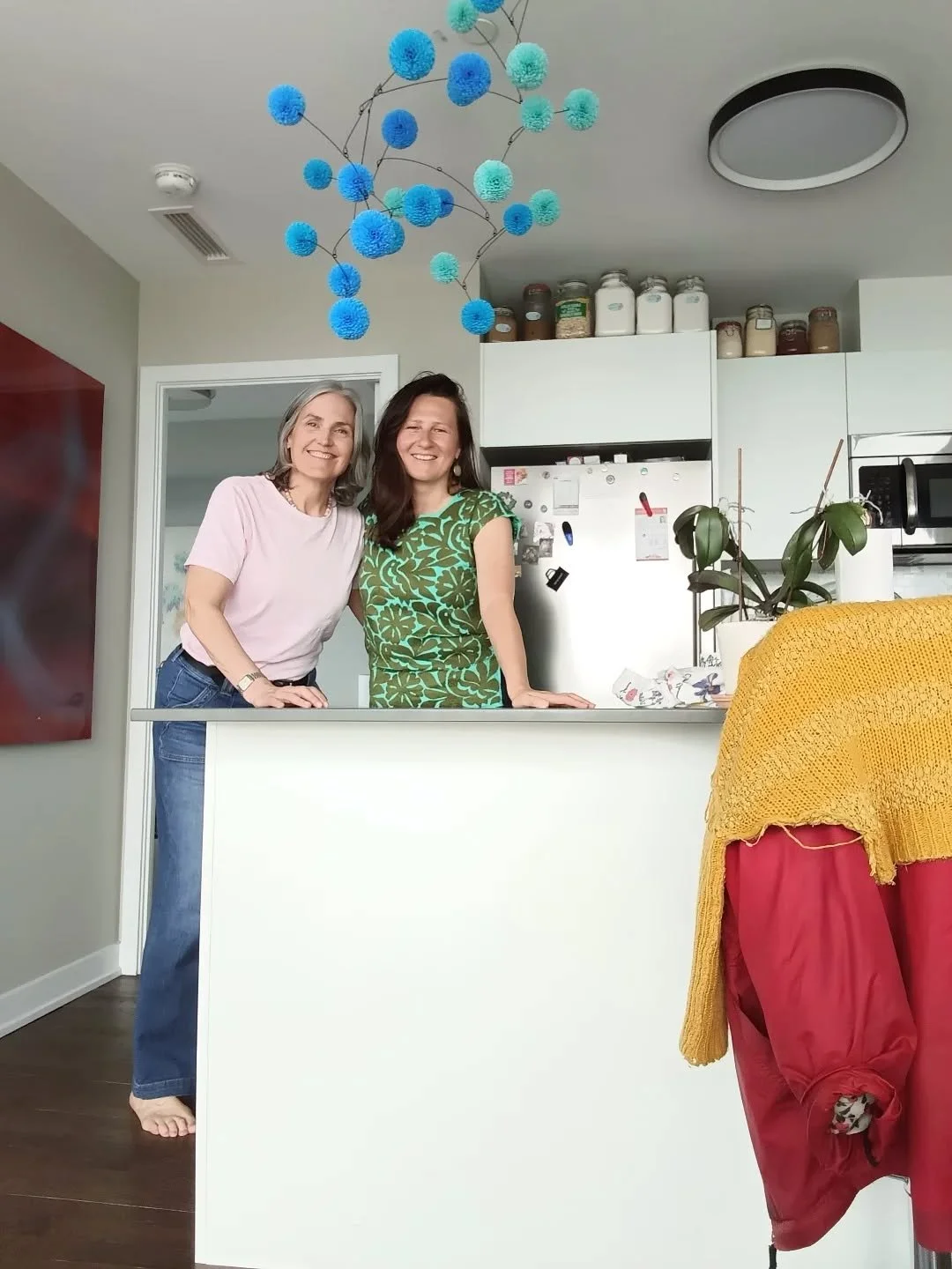 I installed a few custom mobiles in a client's apartment this week. Andrea first saw my mobiles in a window on Yonge Street and said she felt a jolt of joy when she saw them. Honestly, this means the world to me. 

You can order Blossom mobiles in ov