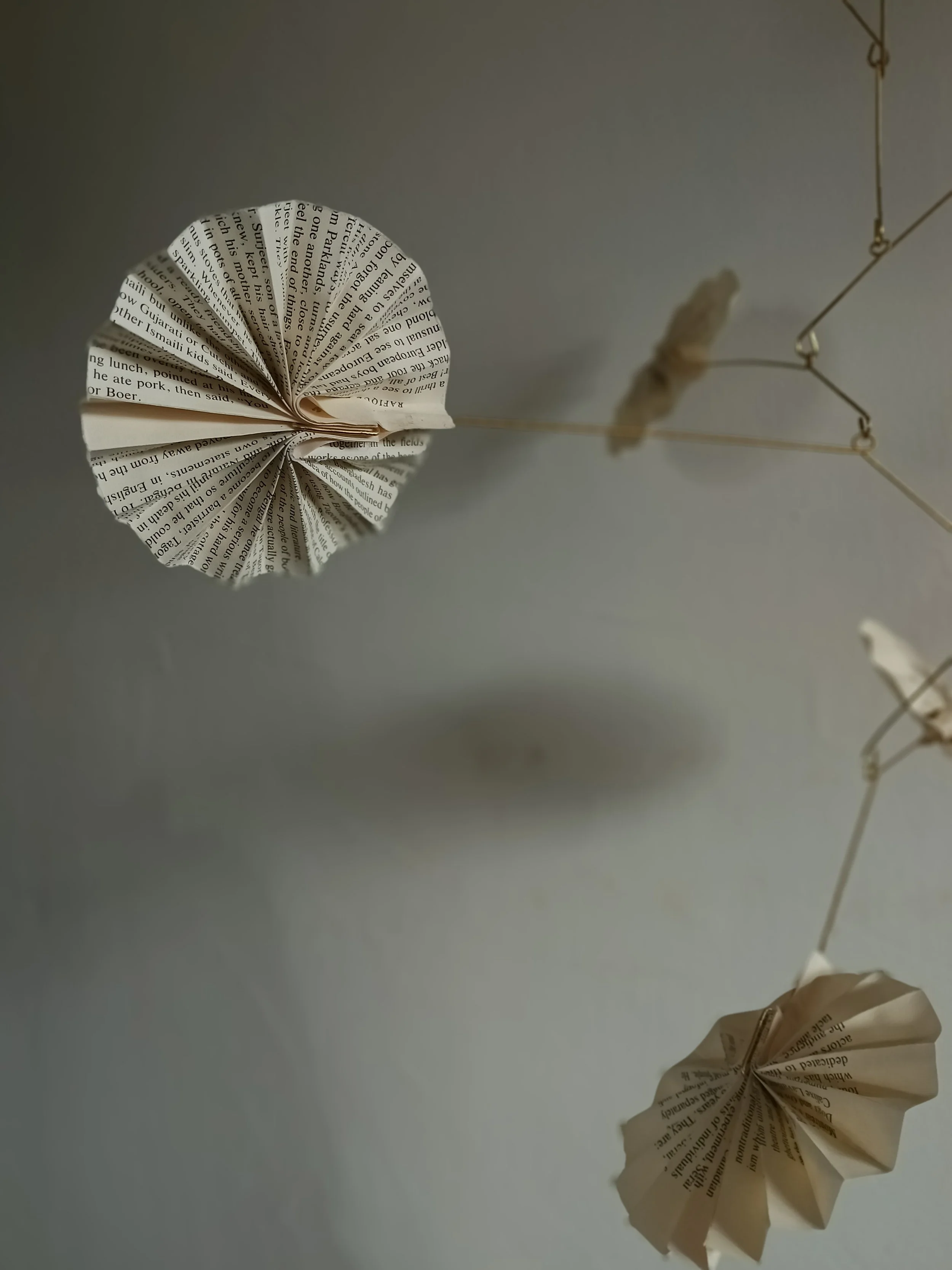 IMG_20260401_104255208 (1).jpg