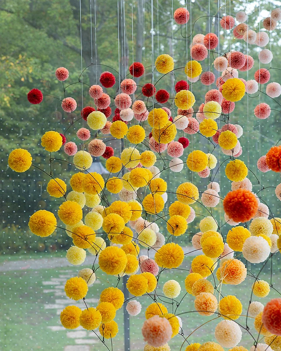 Dancing Blossoms017.jpg