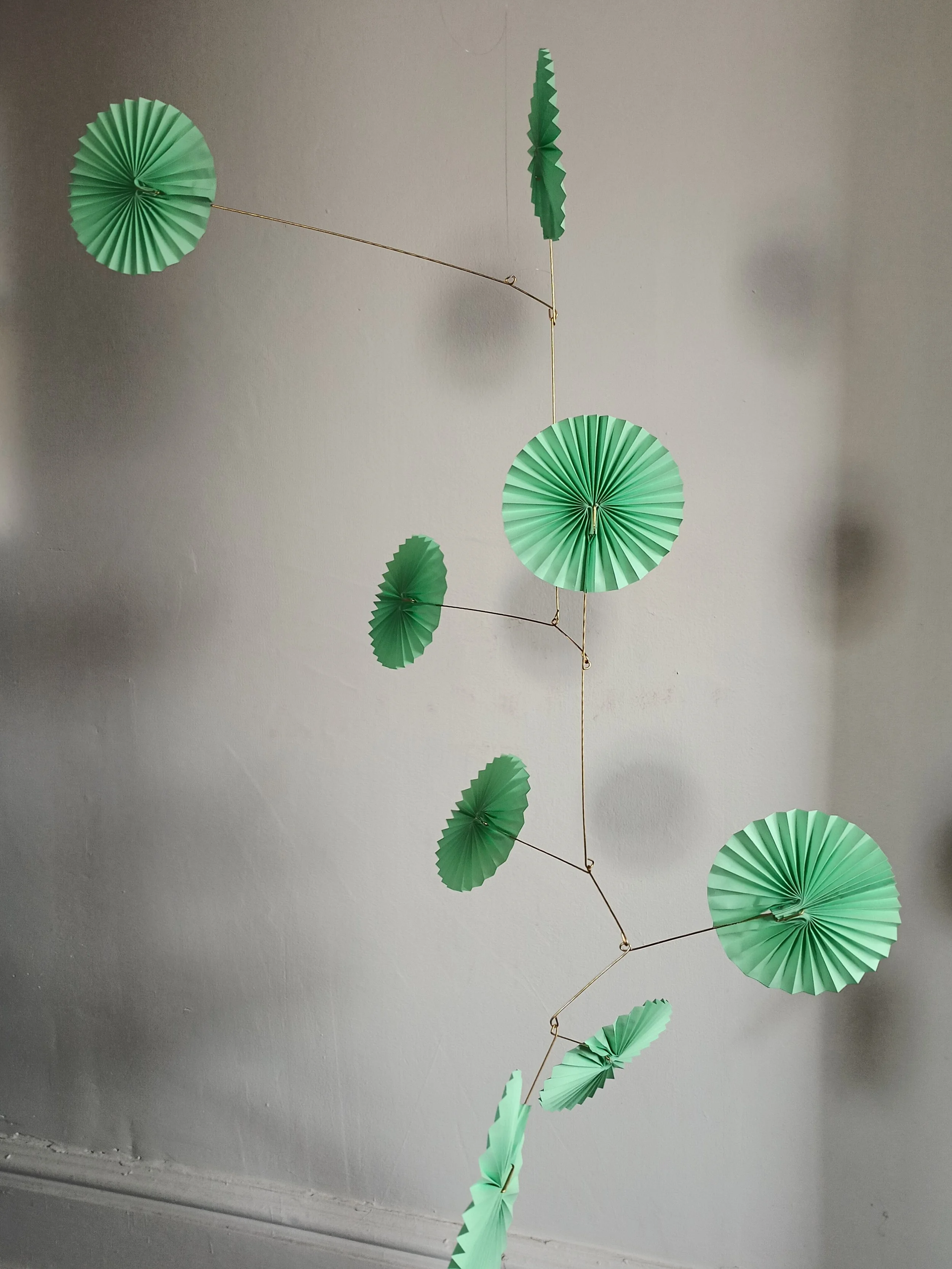 IMG_20260406_123109599 (1).jpg