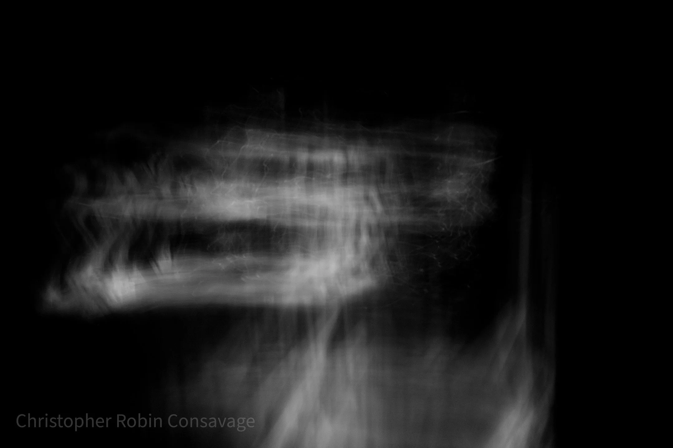 "Reptilian Overlord" Long exposure photography #artphotography #thetruthisoutthere #monochrome #ricohgr