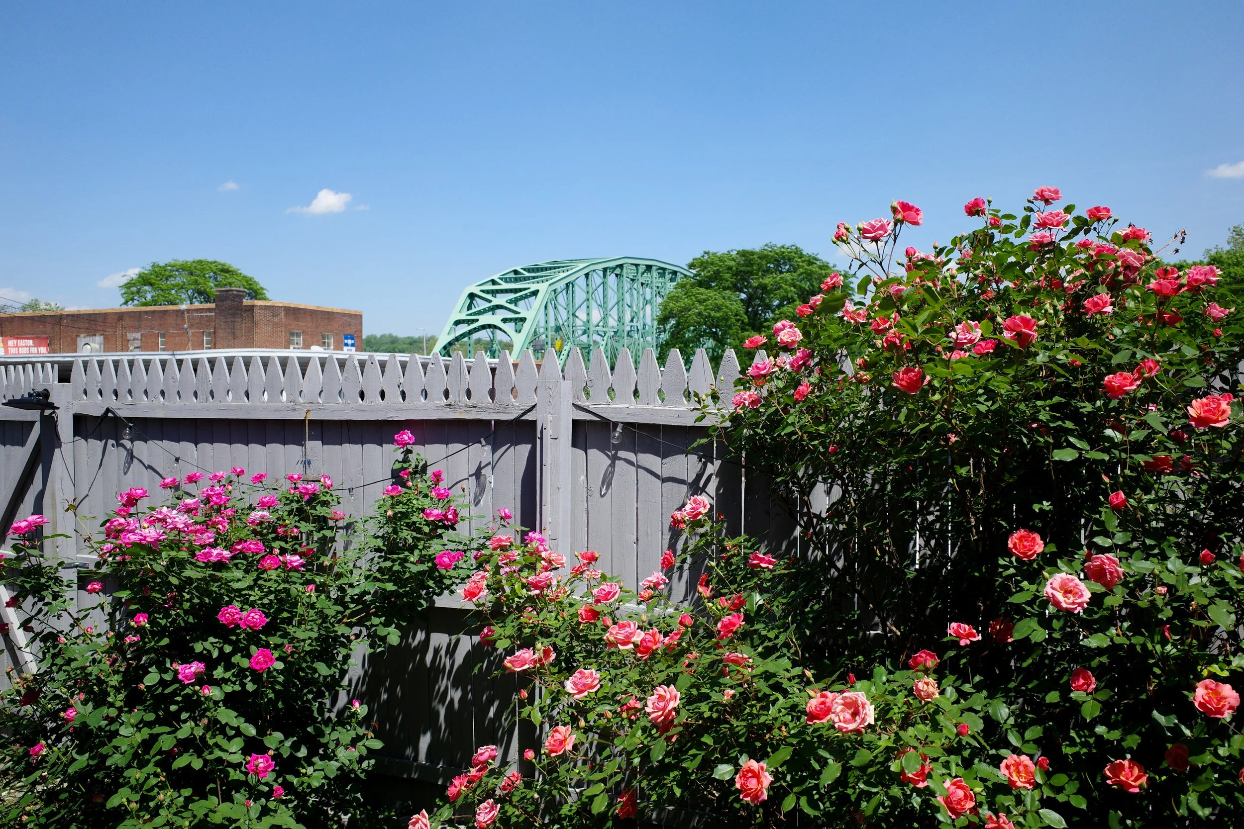 It's a nice day. #eastonpa
