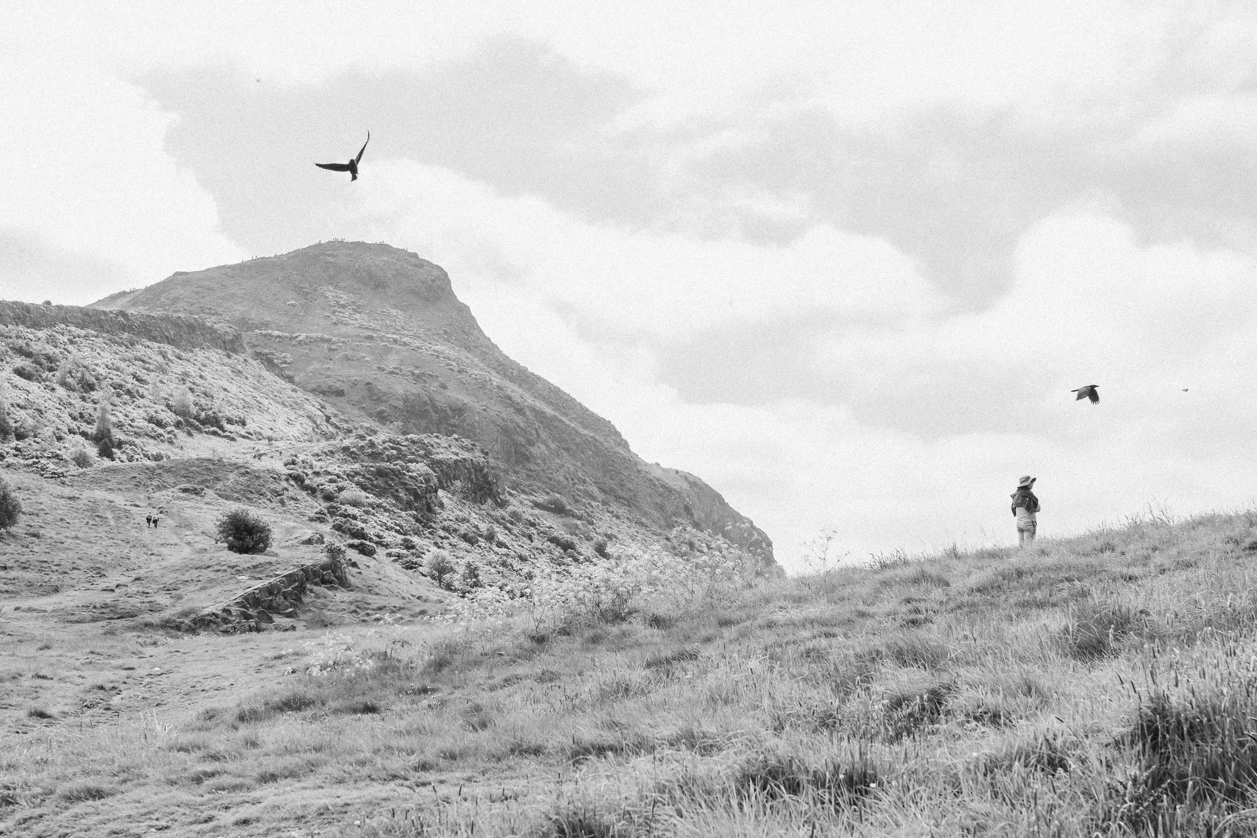 In black and white, a person stands on hills of Arthur's Seat, in Edinburgh, Scotland, with a hat, watching two birds flying in the sky.