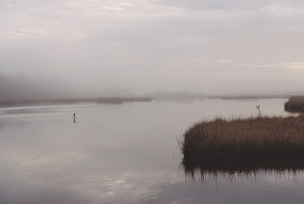 A soft, painting-like photograph of a foggy river scene with grassy patches on the bank and a lone heron standing in the water.