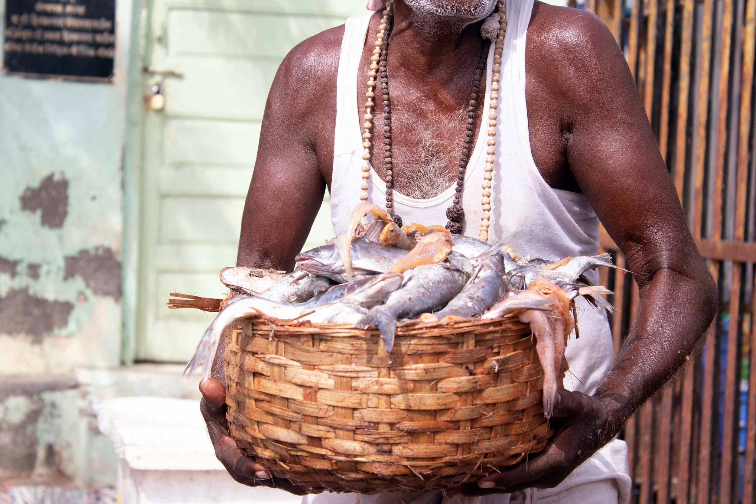 A man, with strong arms and chest hair, standing in direct sunlight, in India, wears a white tank top and beaded necklaces, holding a woven basket filled with fresh fish.
