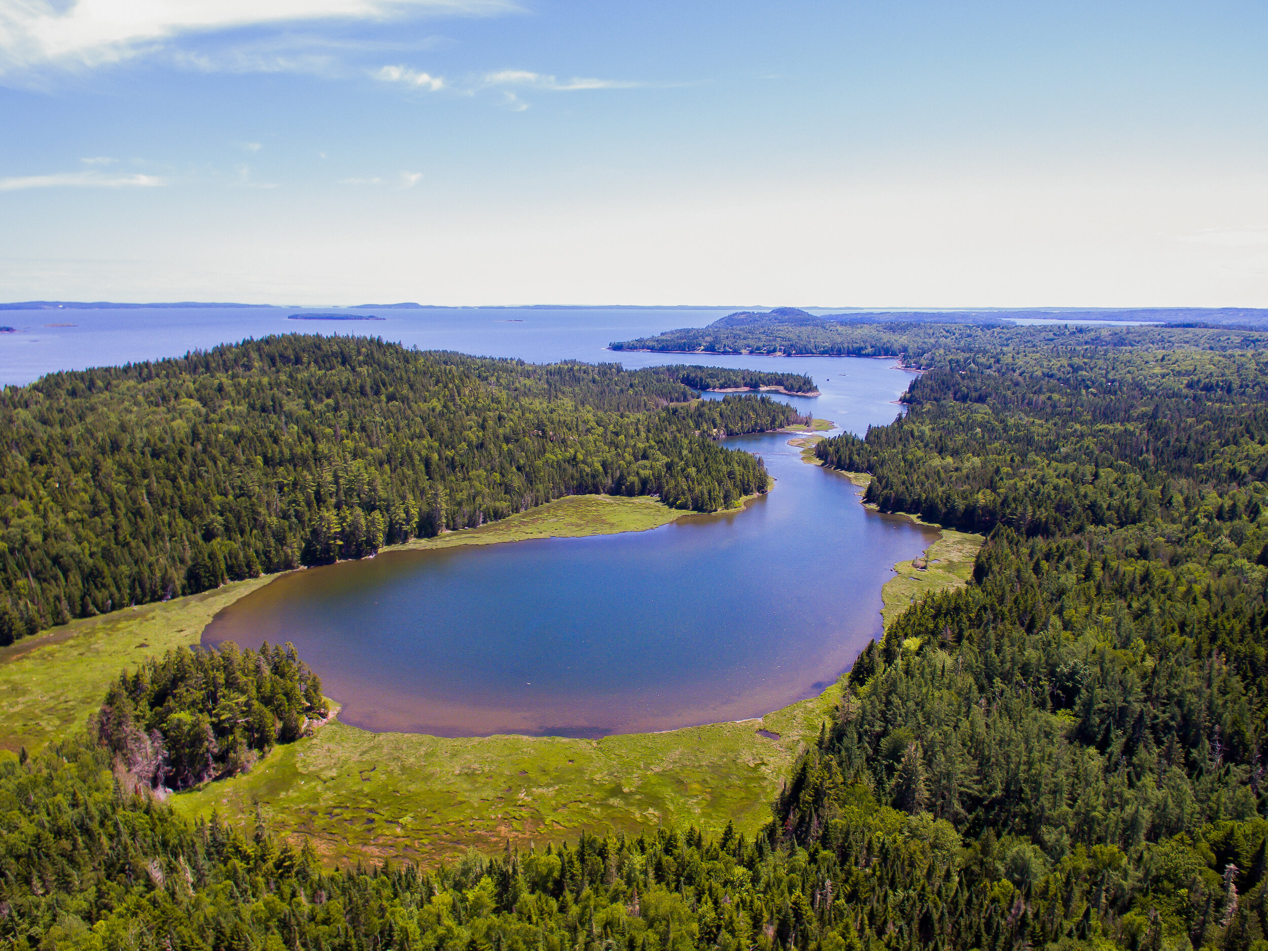 “In a time of global threats to the environment, it is very comforting to know that this piece of the Garden of Eden (Caughey-Taylor Nature Preserve) is being protected.” ­– Sheila Washburn