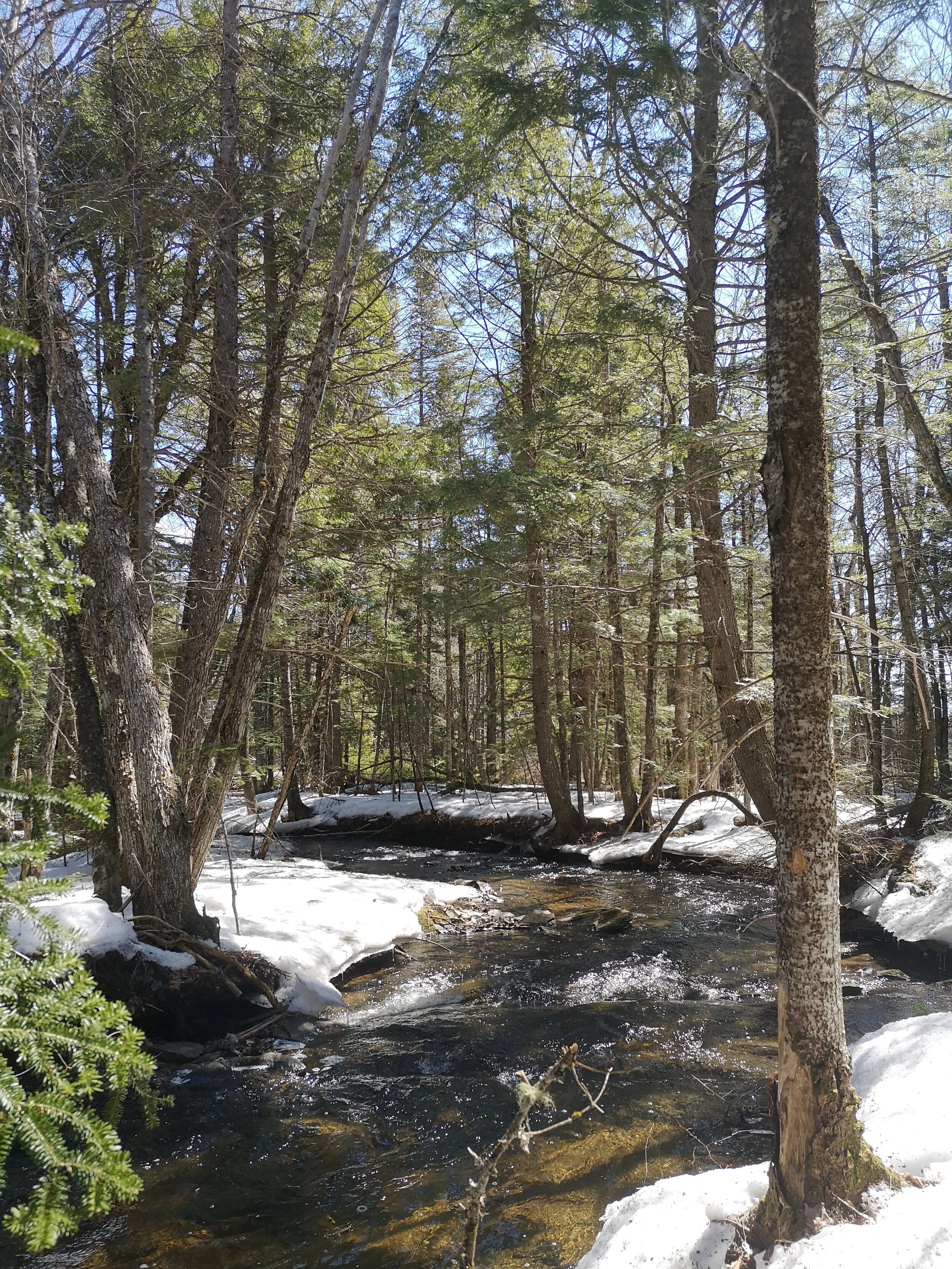 À la mémoire de Louis W. Bassett