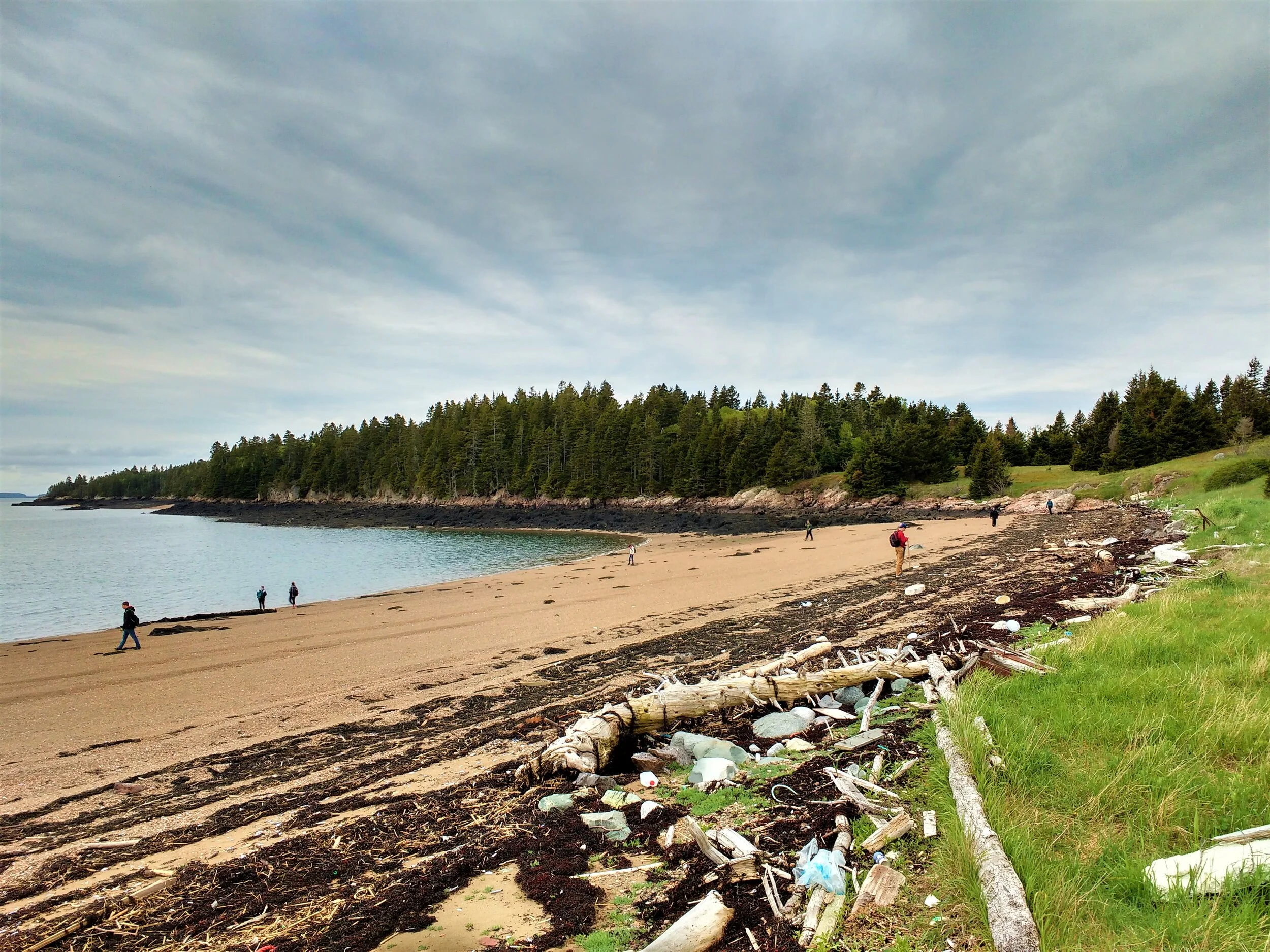 Courtney Le Roux — Nature Trust of New Brunswick