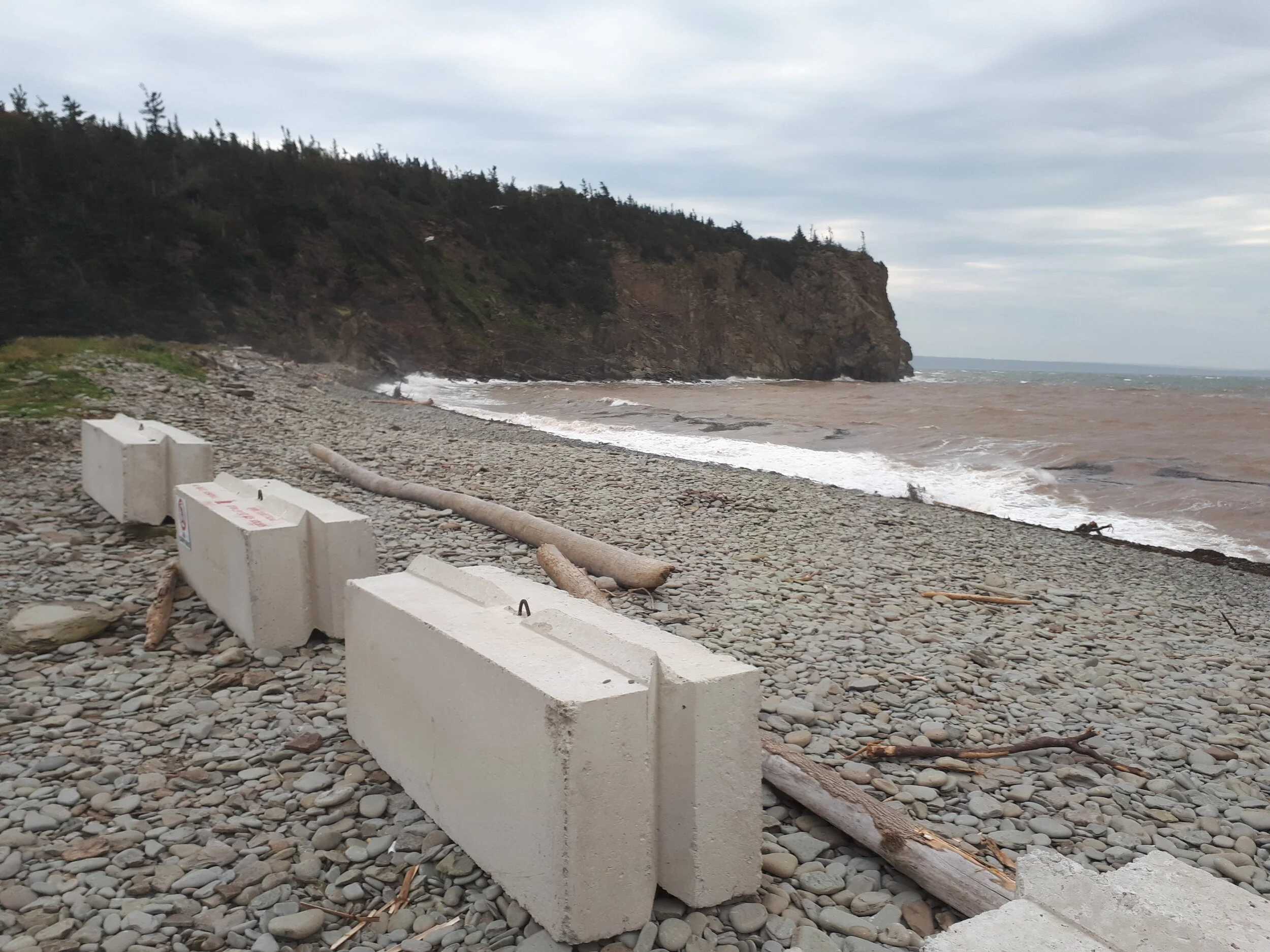 Statement on the Removal of Critical Rocks and Fossils from the Cape