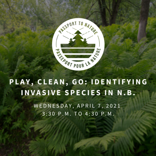 Hosted by the NB Invasive Species Council (NBISC)