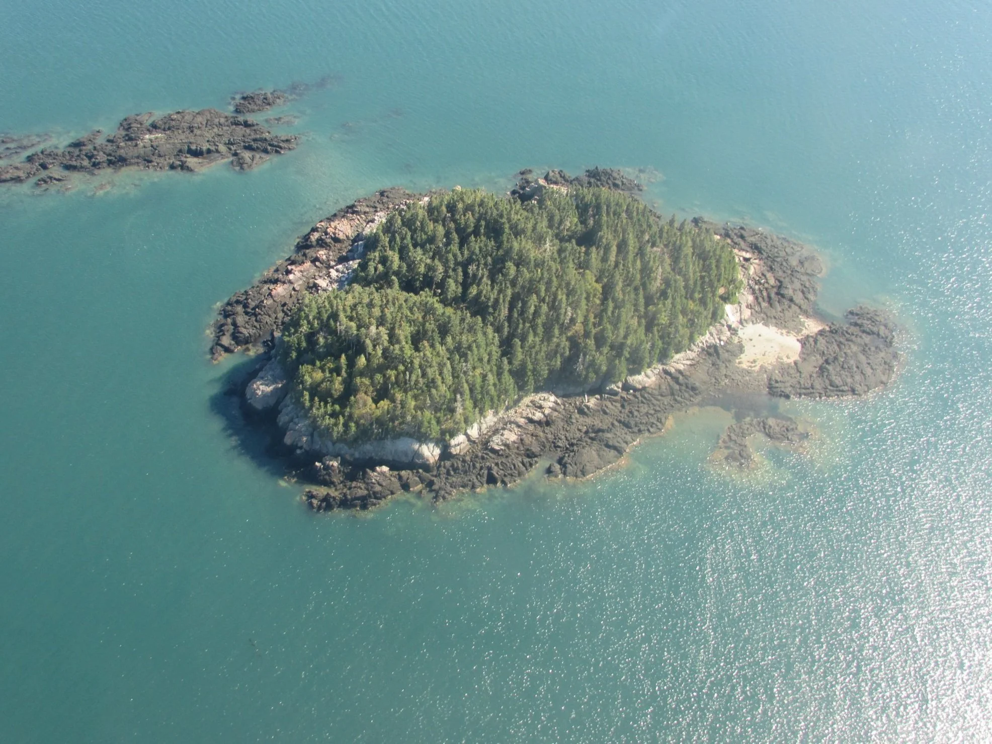 But what about the oceans? Now is your chance to speak up for their protection