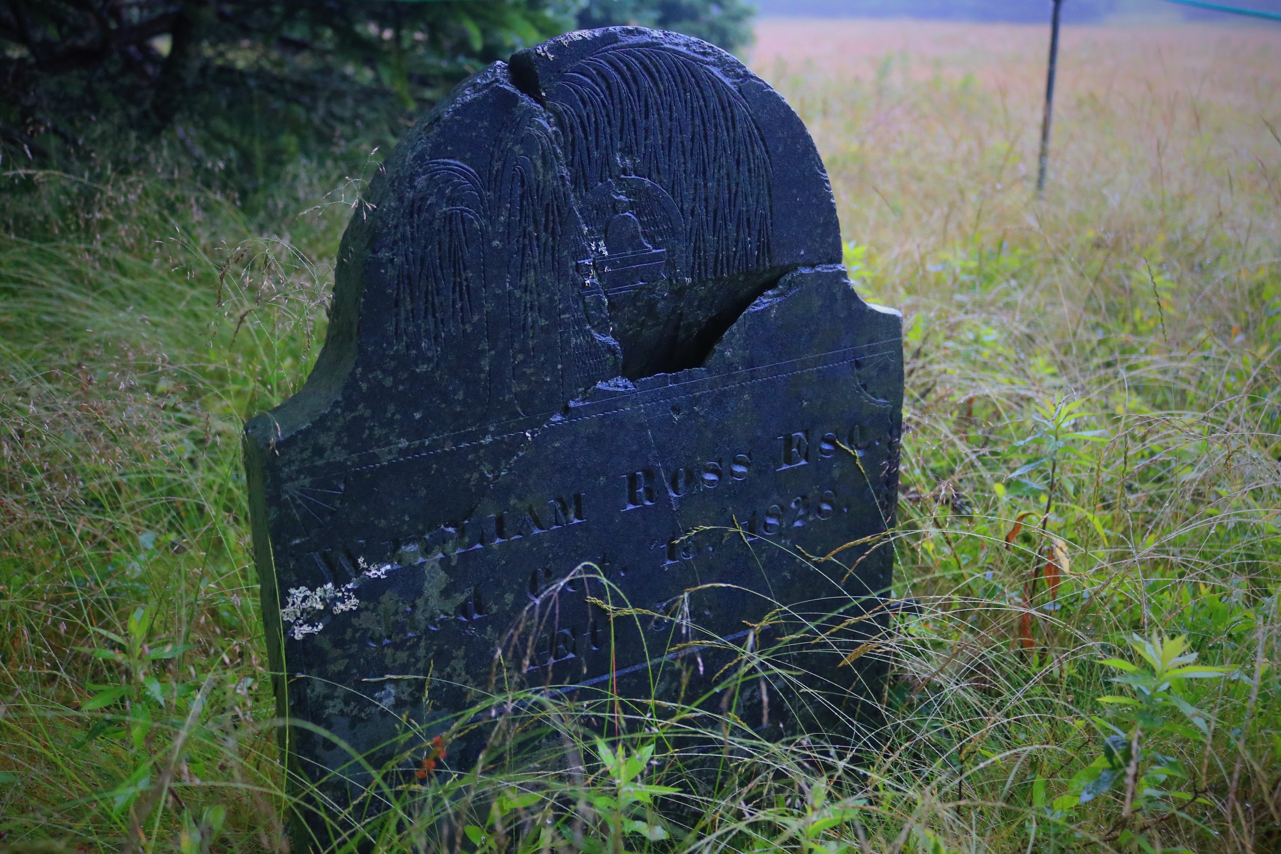 The headstone of early settler William Ross, Esq., remains on the island in a small graveyard. 