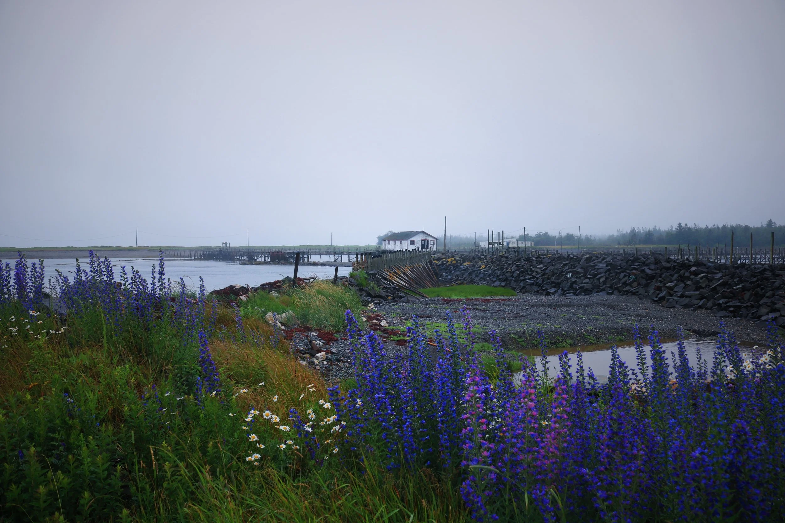 Newly-opened Keiko and Errol Nature Preserve at Ross Island offers solitude, hiking, and wildlife 