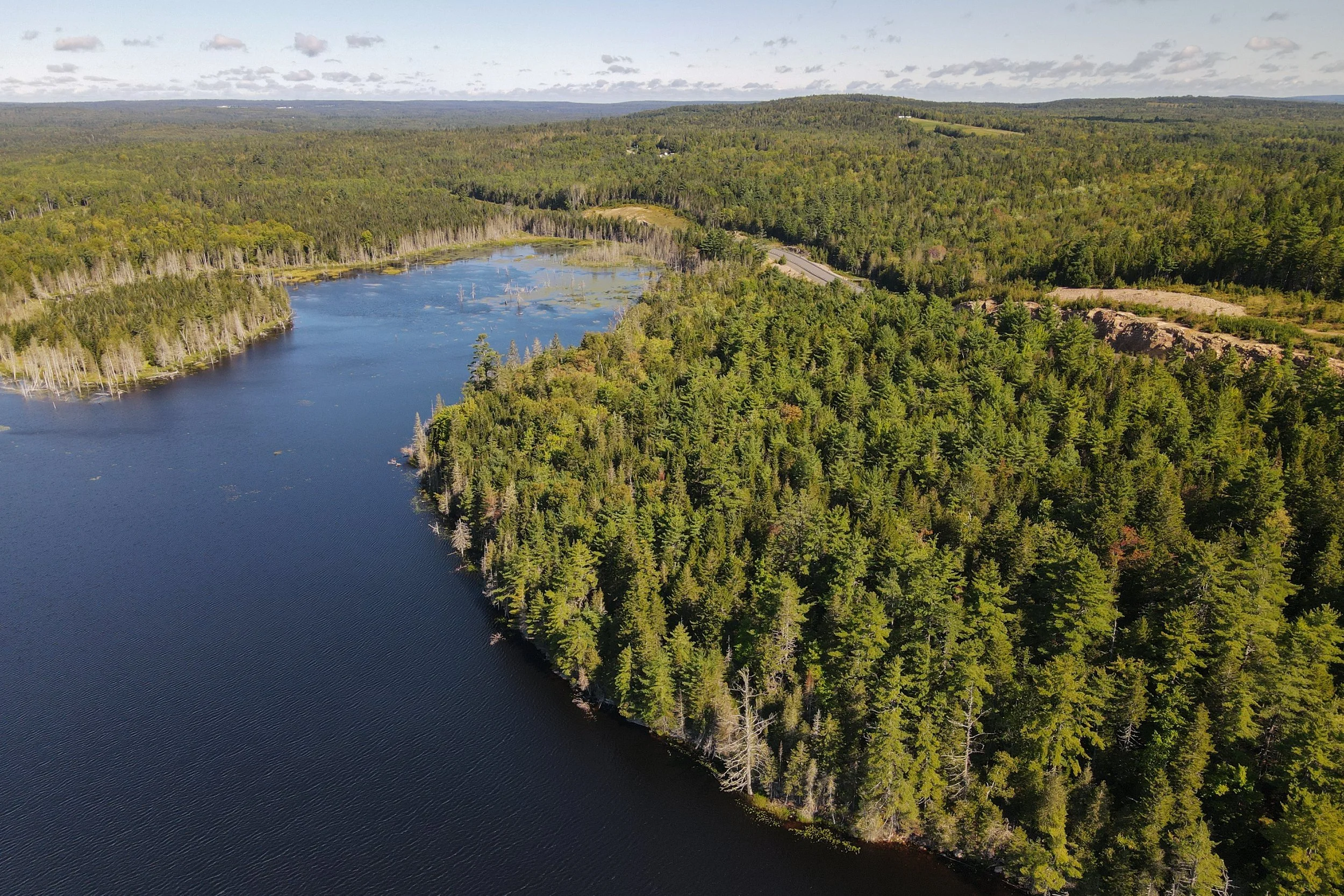 Réserve naturelle de Bartlett Mills
